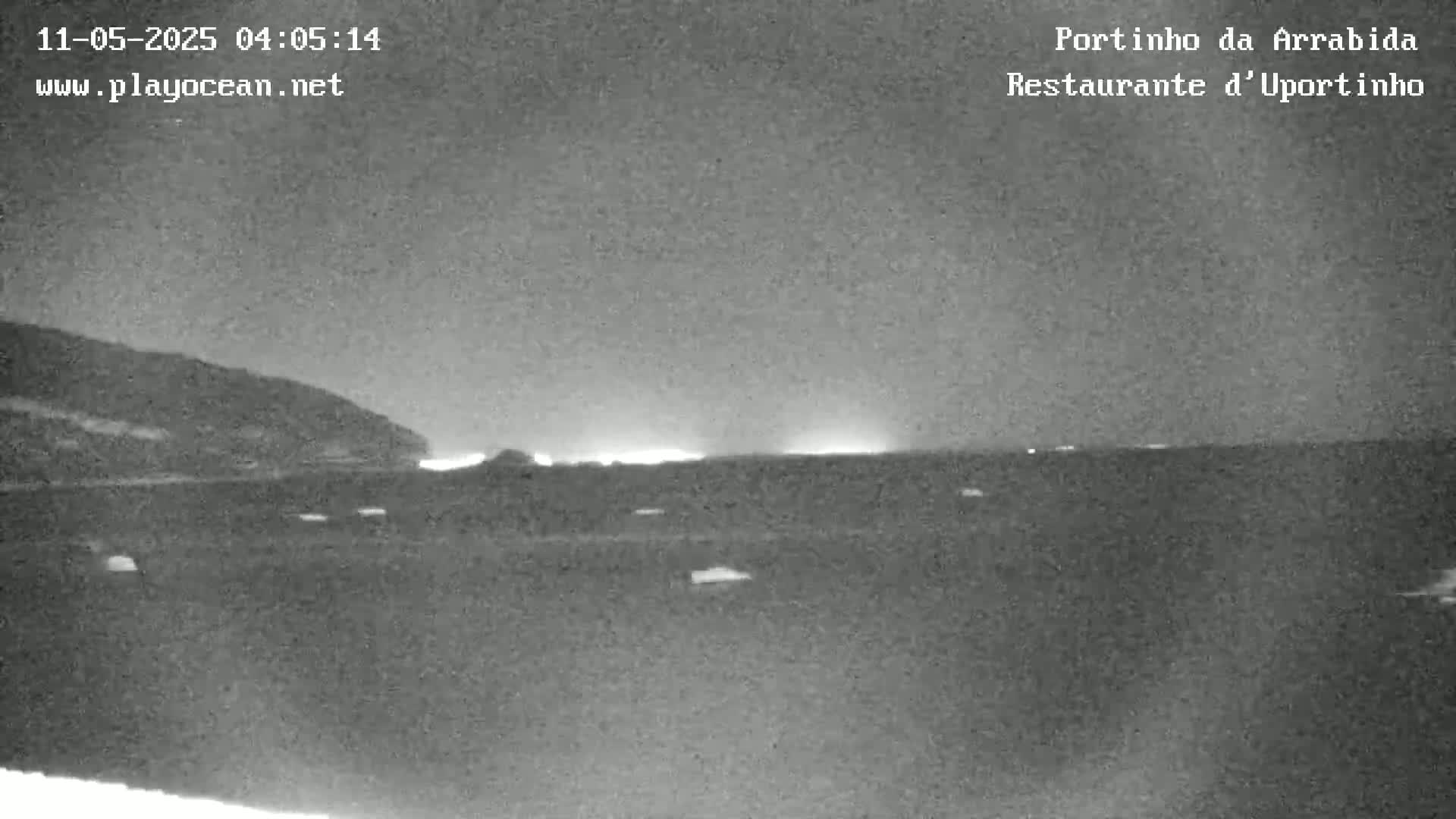 A nighttime, low-light image shows a dark body of water with a distant shoreline and a few faint lights.