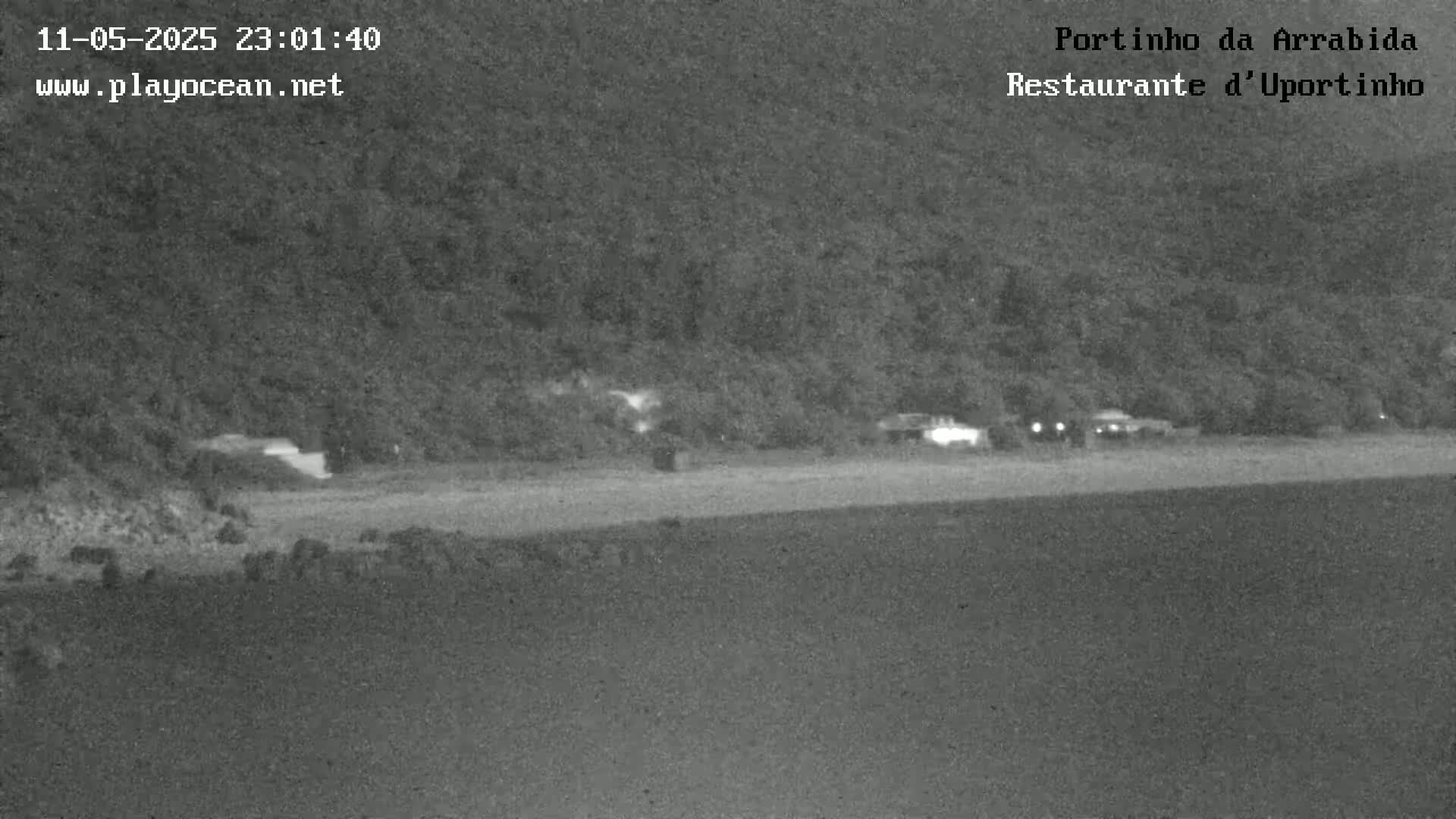A nighttime, low-light image shows a dark beach with a few indistinct objects in the distance, backed by dark vegetation on a hillside.
