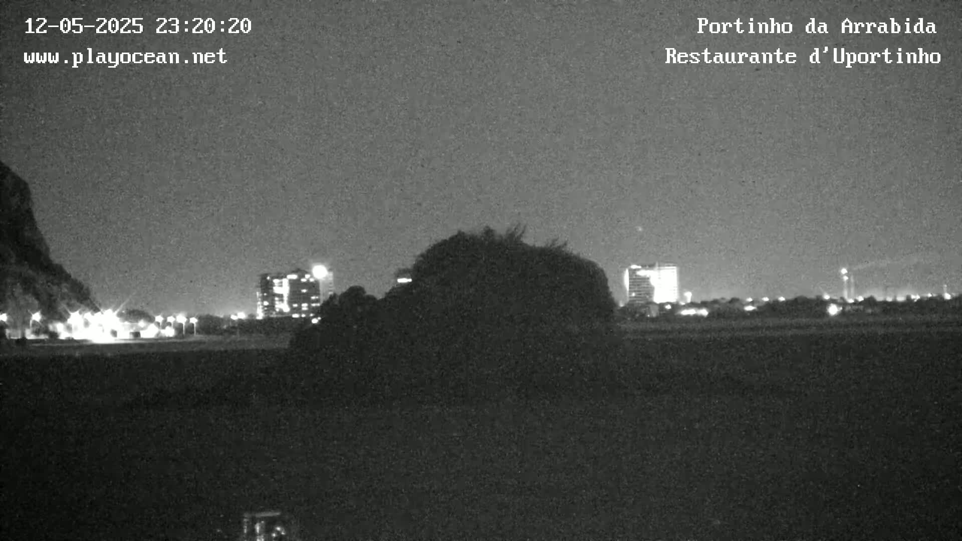 A nighttime, low-light image shows a dark, shrub-like object in the foreground obscuring a view of distant city lights.