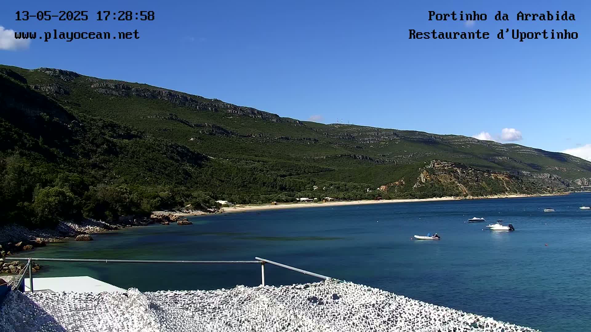 A tranquil bay with several small boats is nestled below a verdant mountainside under a clear blue sky.