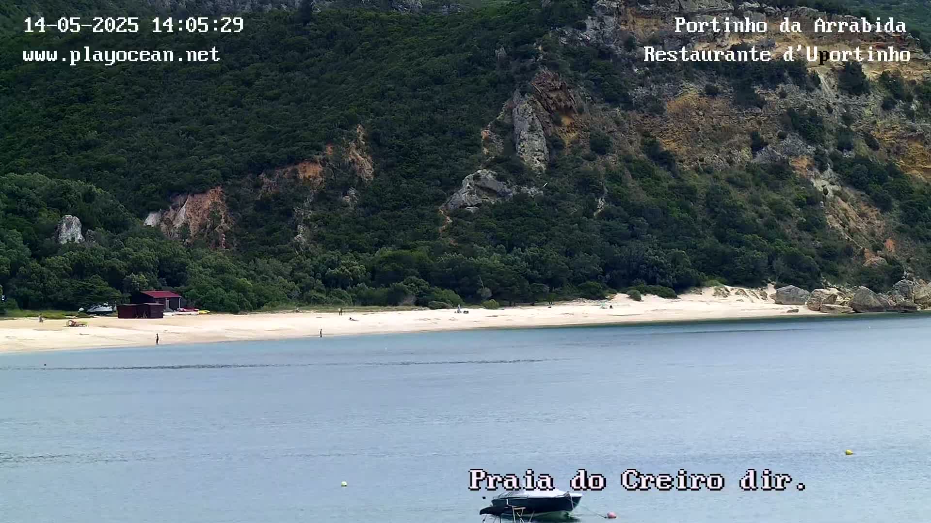 A sandy beach with a few people on it sits below a lush green hillside next to calm, light blue water.