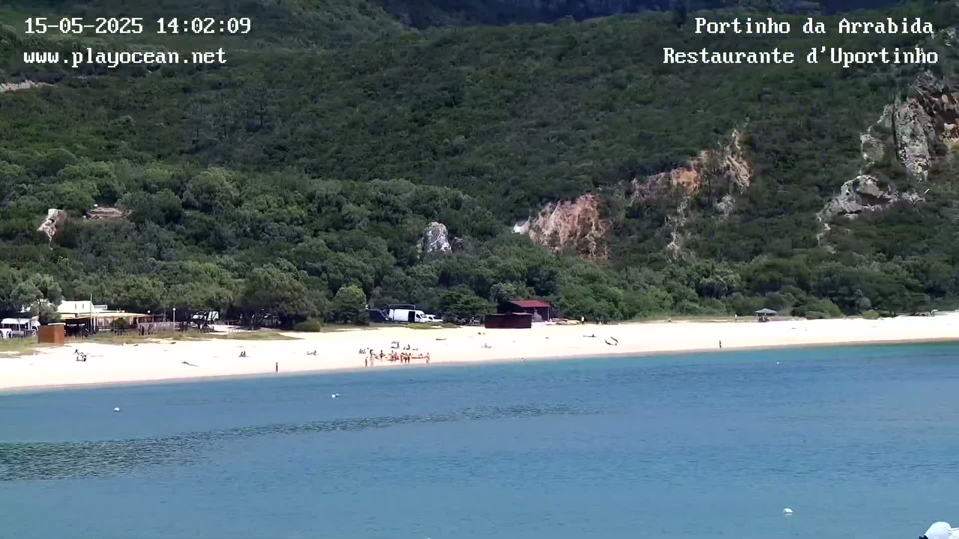 A sandy beach with a few people on it is nestled below a lush green hill overlooking calm blue water.