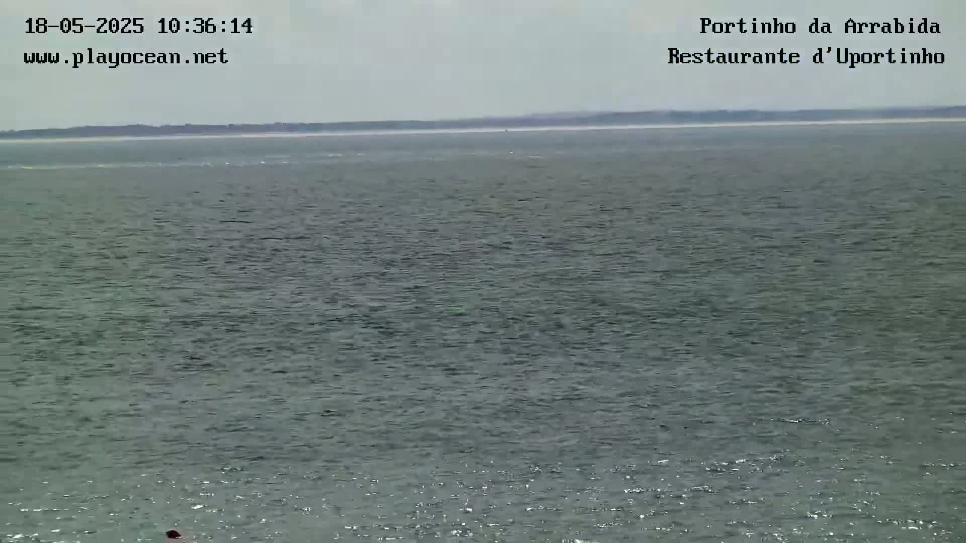 A calm, gray body of water stretches to a distant shoreline under an overcast sky.
