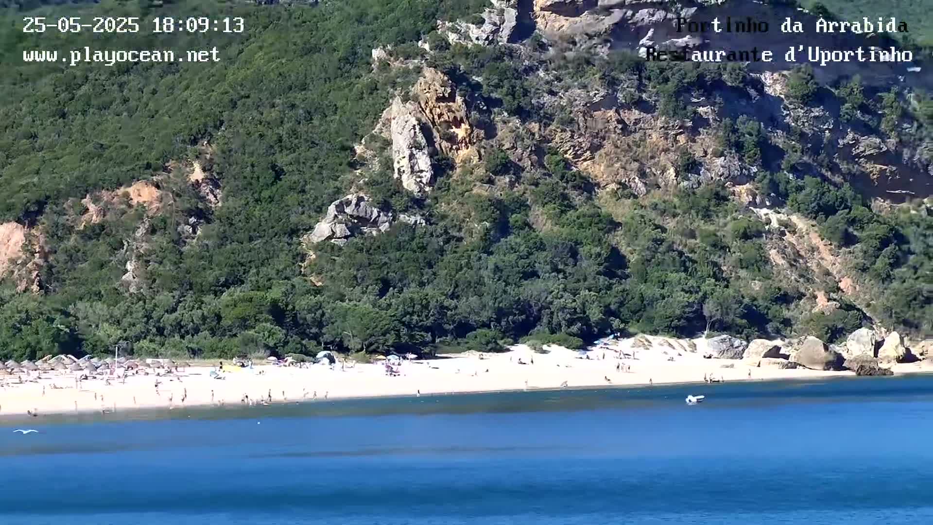 A sandy beach with many people on it is nestled beneath a green, rocky hillside on a sunny day.