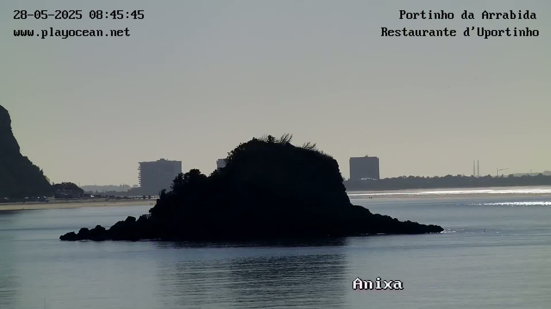 A dark, rocky islet sits in calm, gray water in front of a distant shoreline with buildings under a hazy sky.