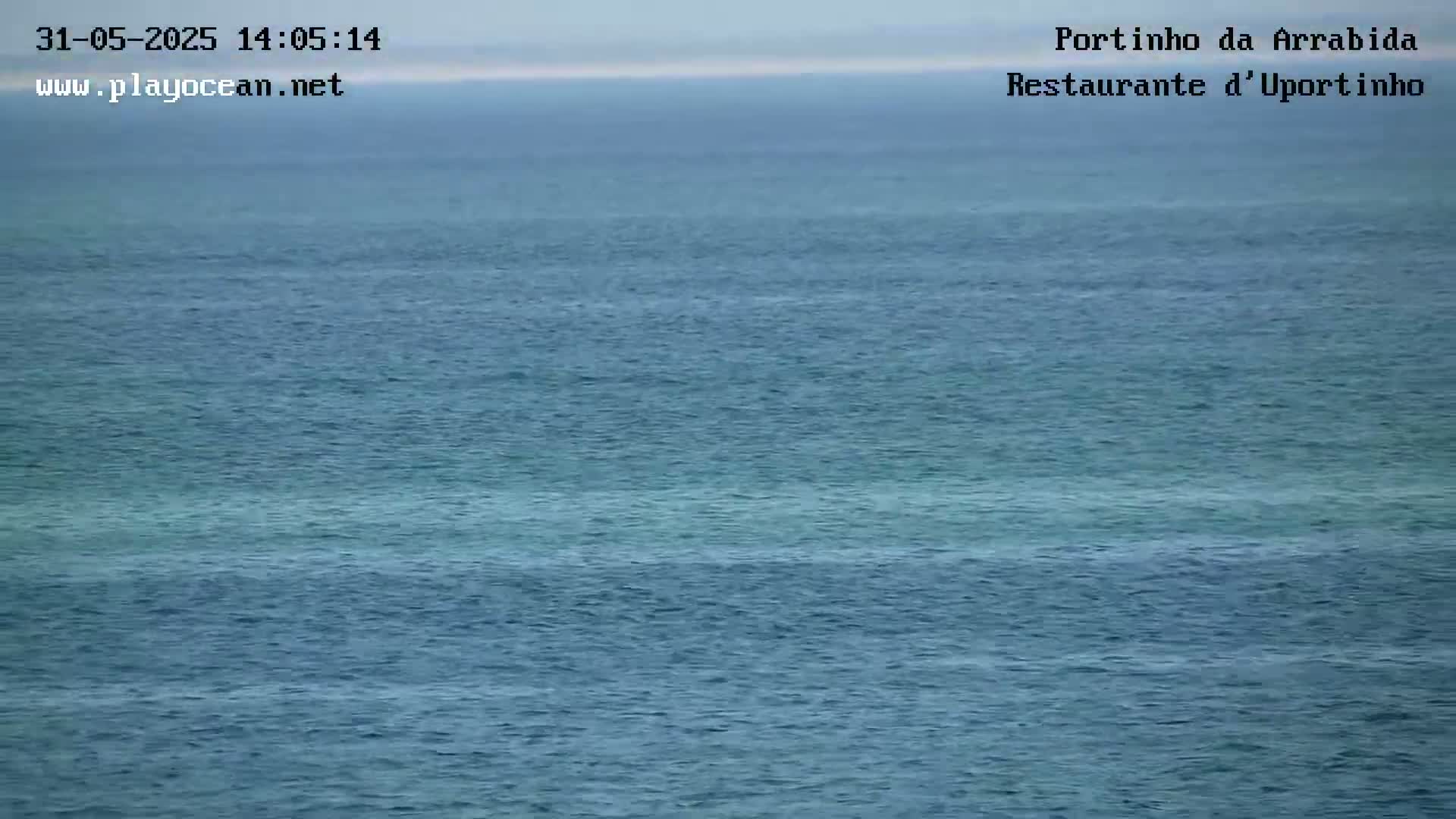 A calm, blue ocean stretches to the horizon under an overcast sky.