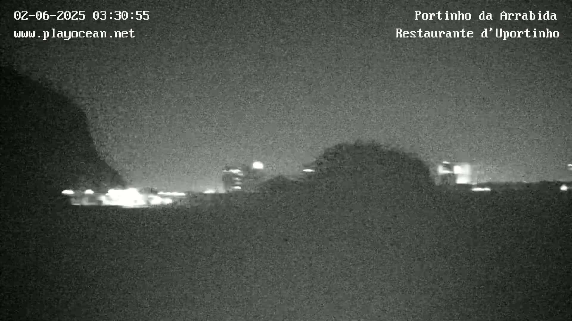 A nighttime, low-light image shows a dark landscape with distant lights, possibly from a town or city, partially obscured by trees or shrubs in the foreground.