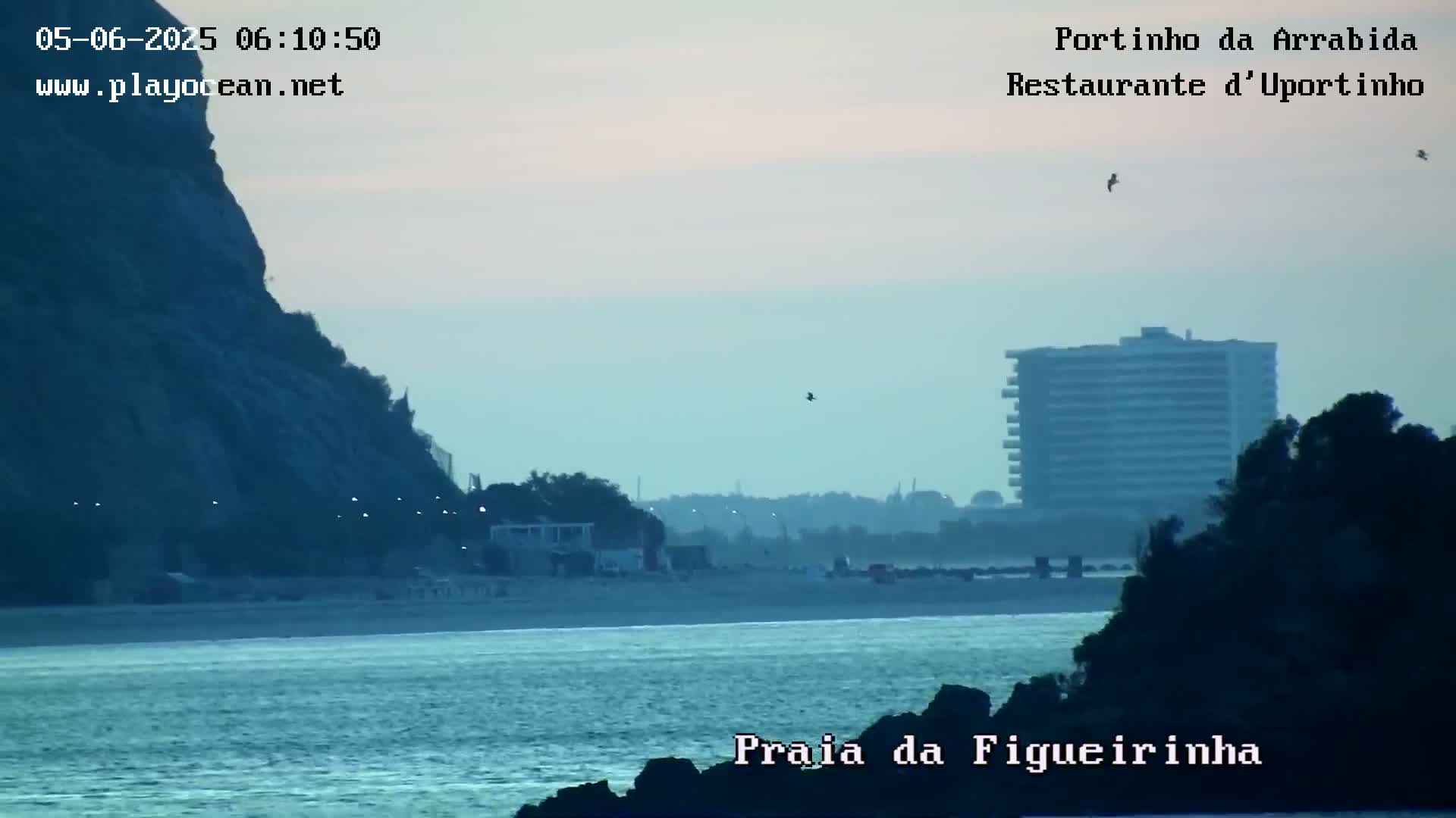 A calm, twilight ocean scene shows a beach, a large building in the distance, and a dark cliff to the left, with a few birds flying overhead.