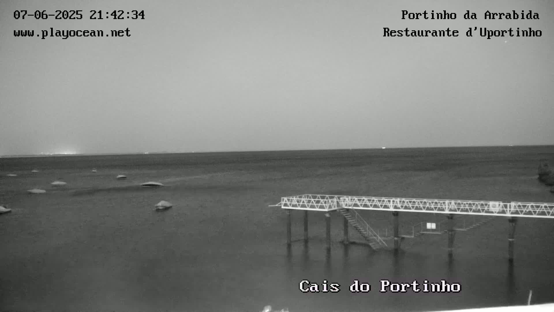 A nighttime, grayscale view of a calm body of water with a small pier extending into it.