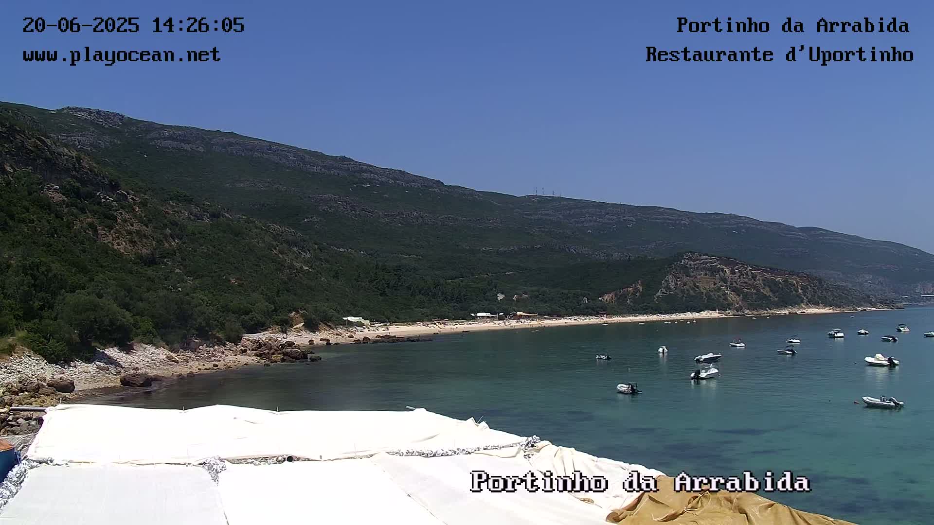 A tranquil bay with several small boats anchored in clear, calm water, nestled beneath a verdant mountain under a bright, sunny sky.