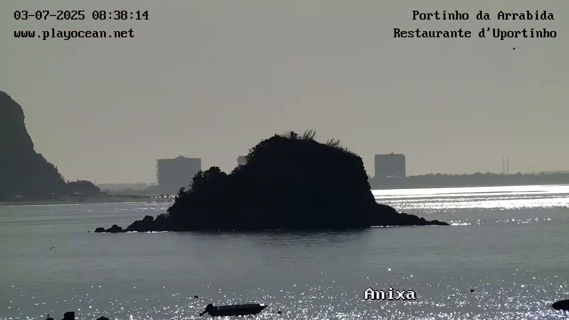 A dark, rocky island sits in a calm body of water under a hazy sky, with buildings visible in the distance.