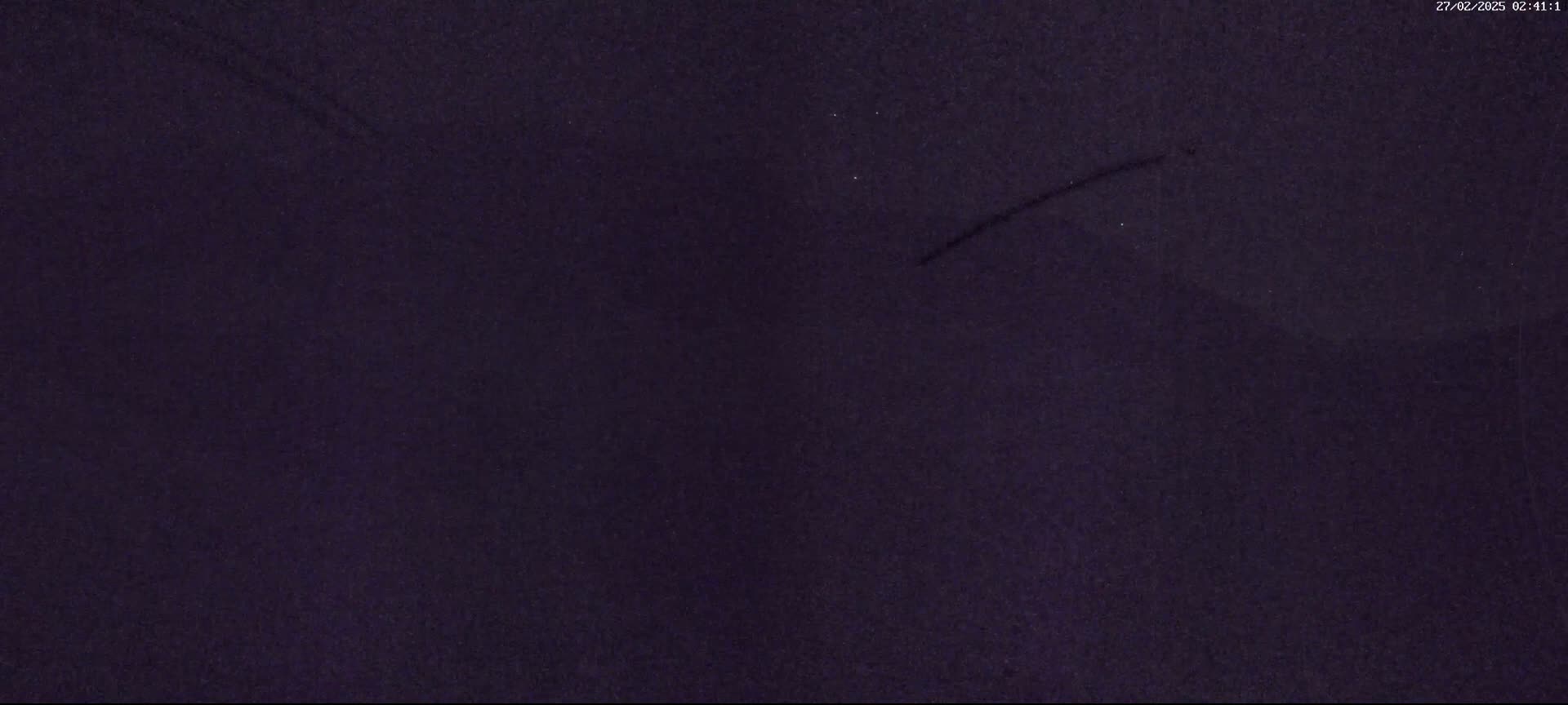 A dark purple, textured surface is shown.