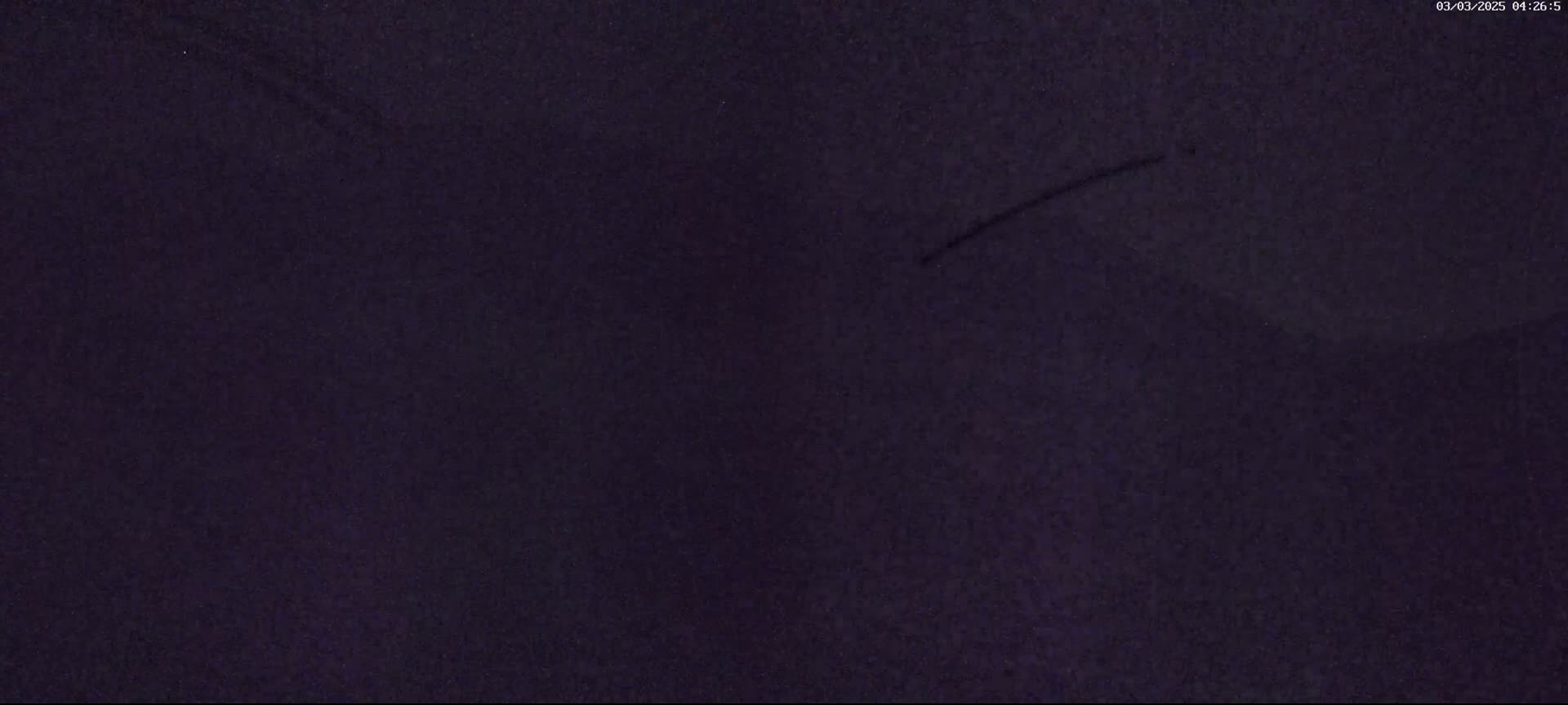 A dark purple, textured surface with faint, thin, dark lines.