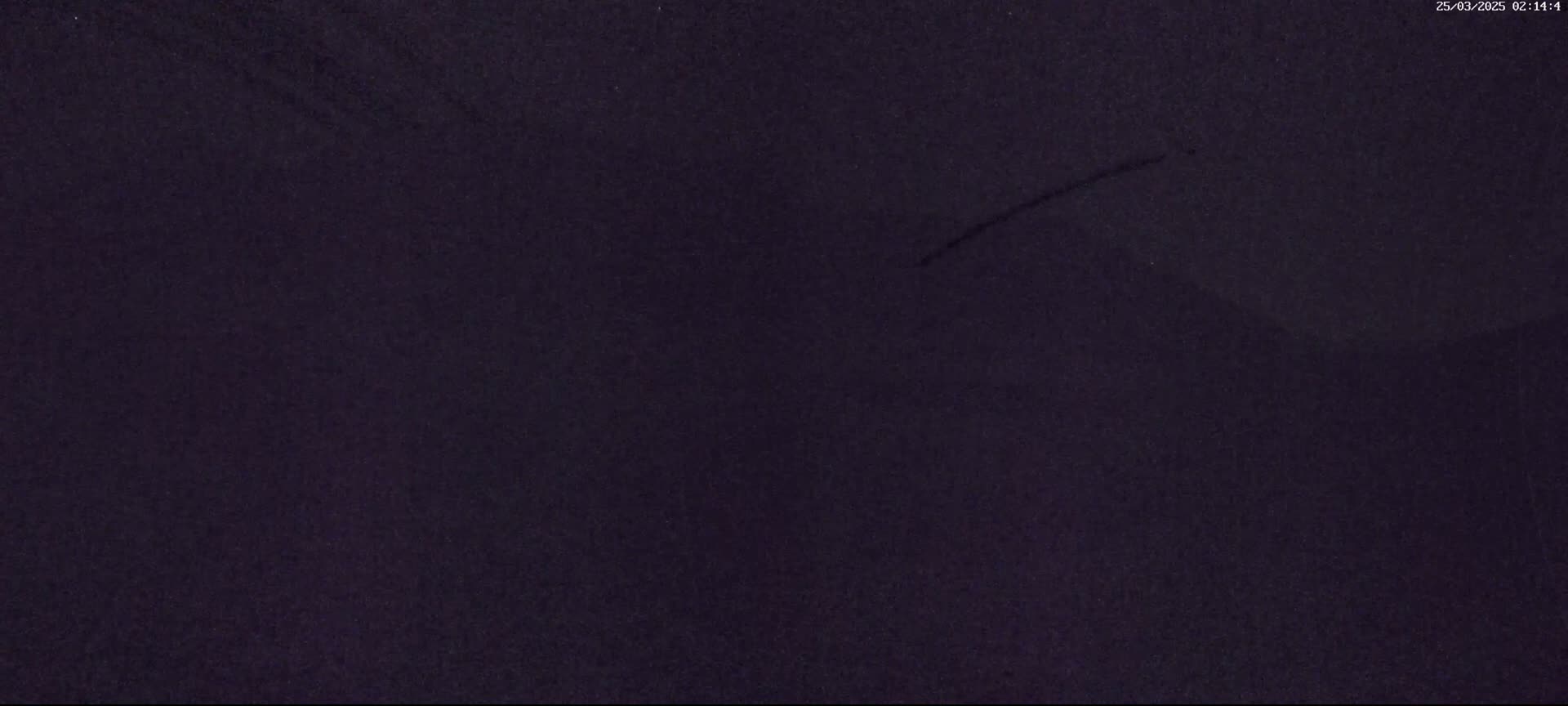 A dark purple or black textured surface is shown.