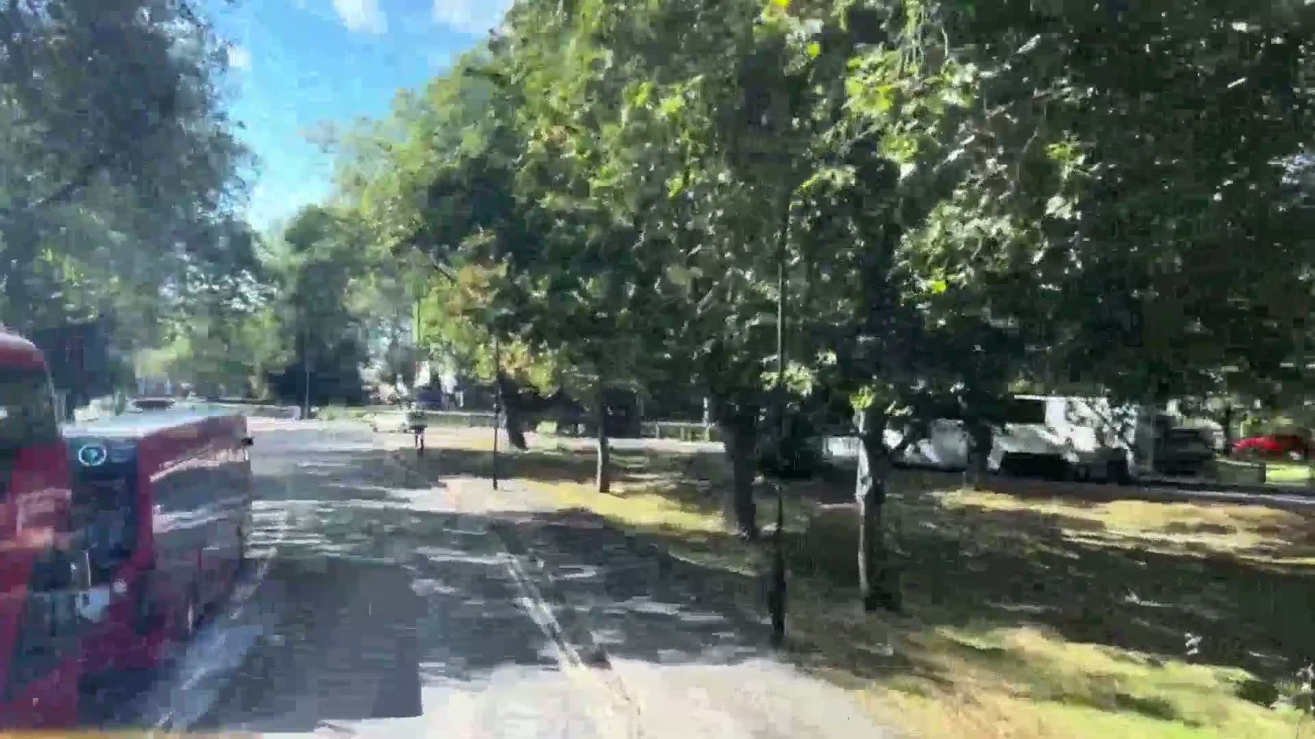 A red bus is driving past a tree-lined road on a sunny day.