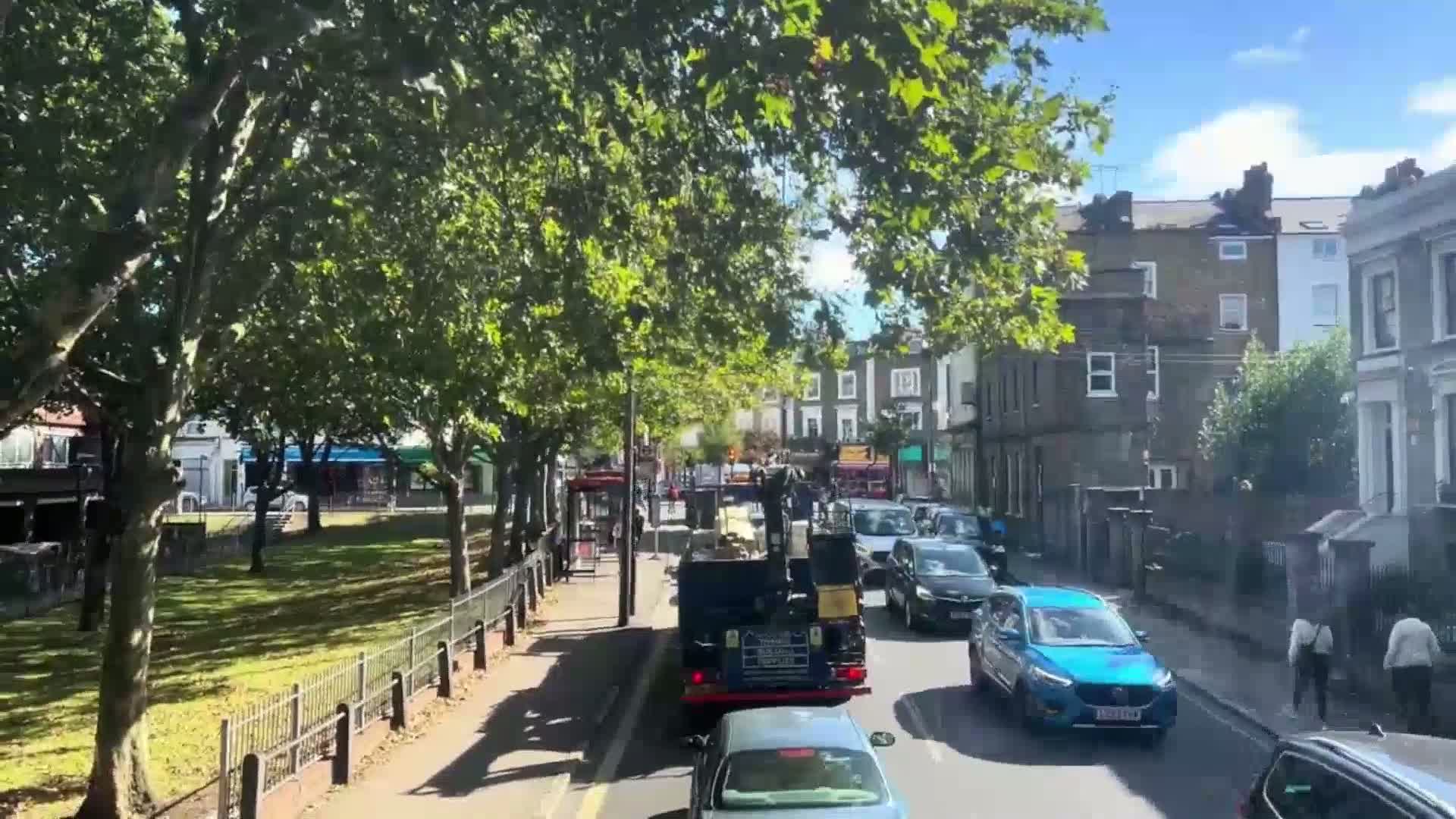 A sunny day on a tree-lined street shows cars driving past buildings and a small park.