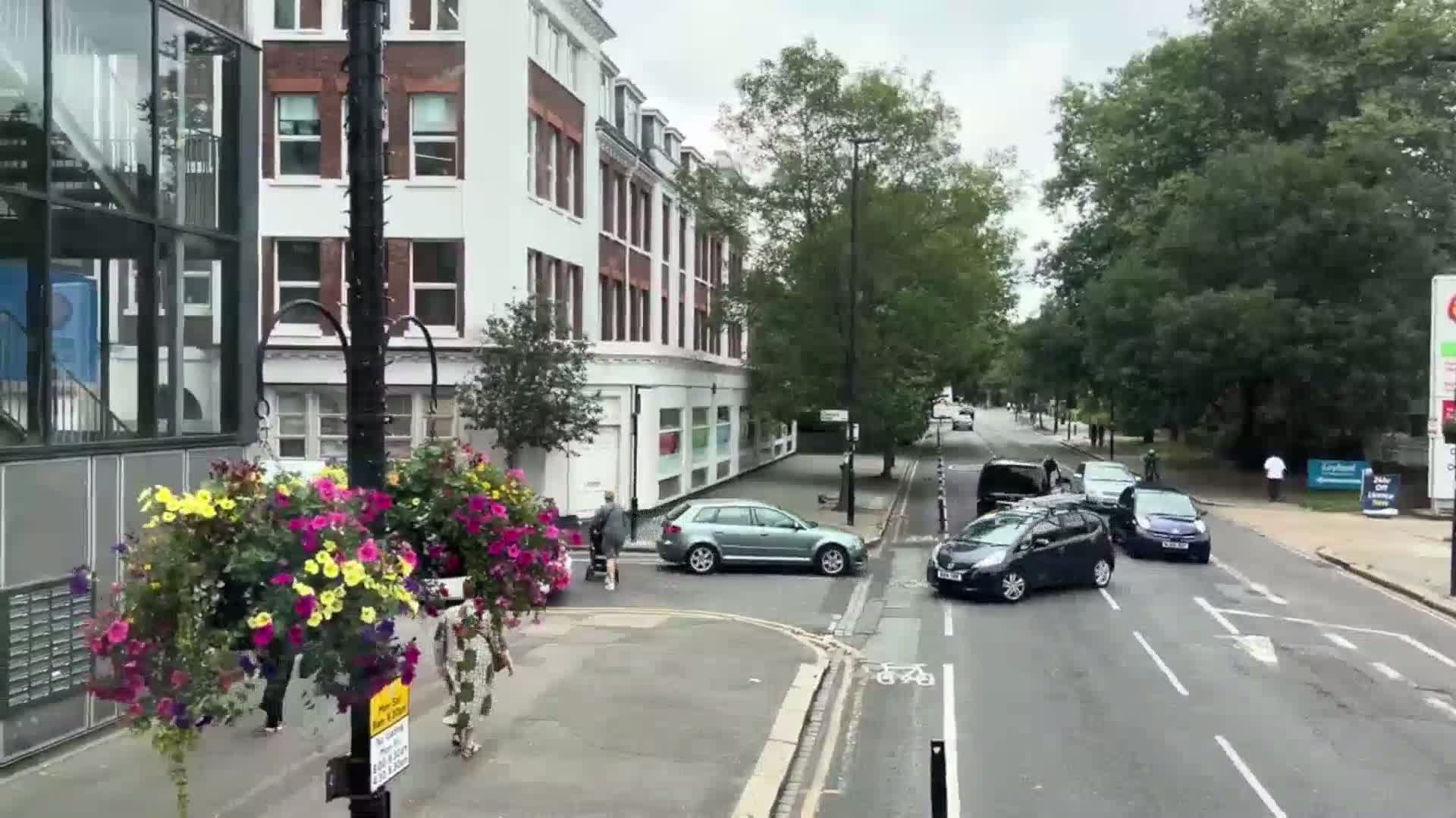 A street scene on an overcast day shows several cars stopped at an intersection near a multi-story building and lush green trees.