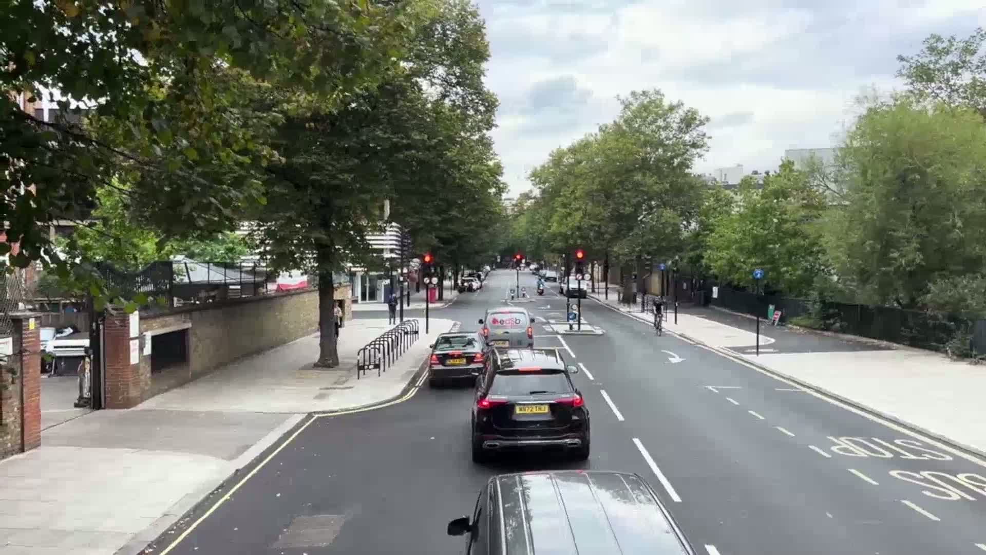 A tree-lined street with several cars driving on a partly cloudy day.