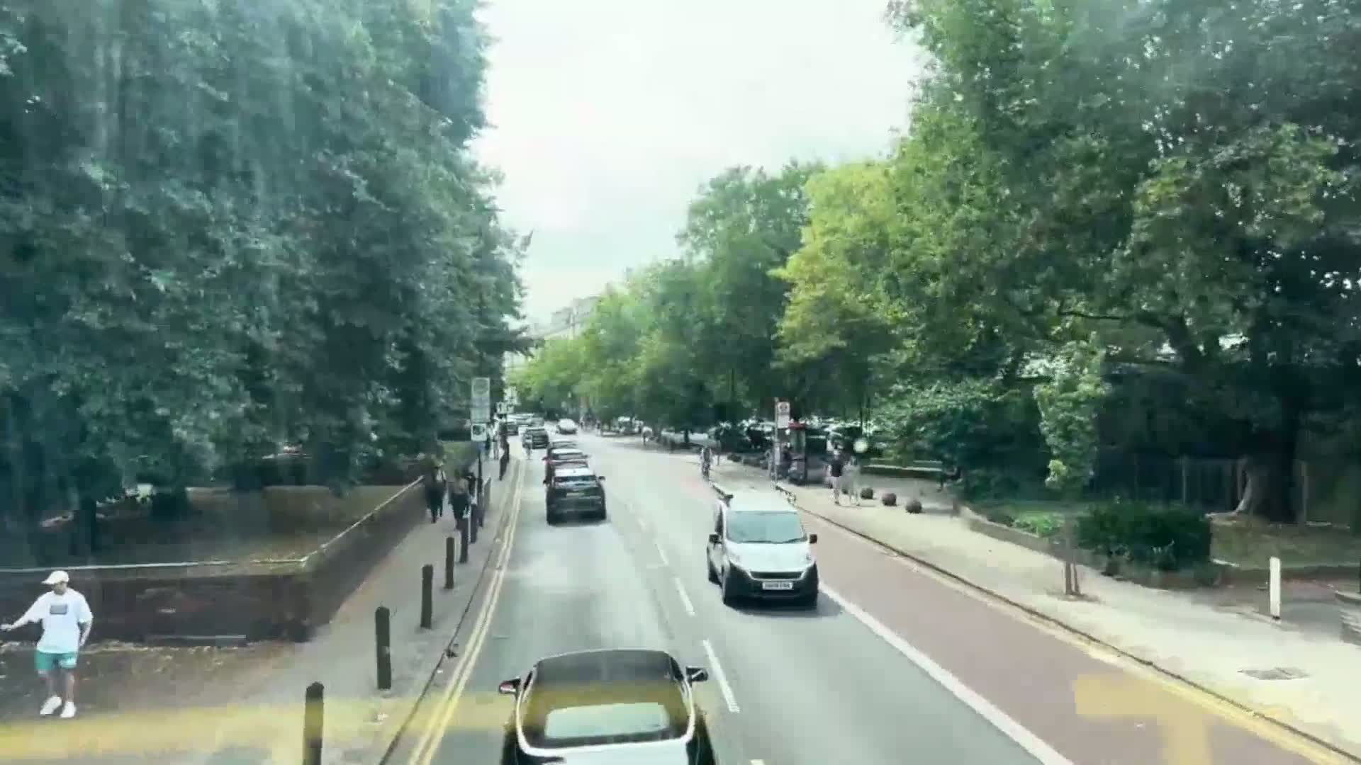 A street lined with lush green trees shows several cars driving on a sunny day.