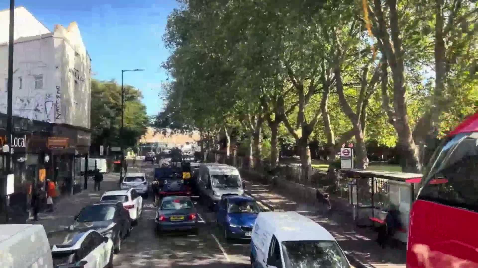 A sunny day shows a line of cars in traffic down a street lined with large trees and buildings, one of which has graffiti on its side.