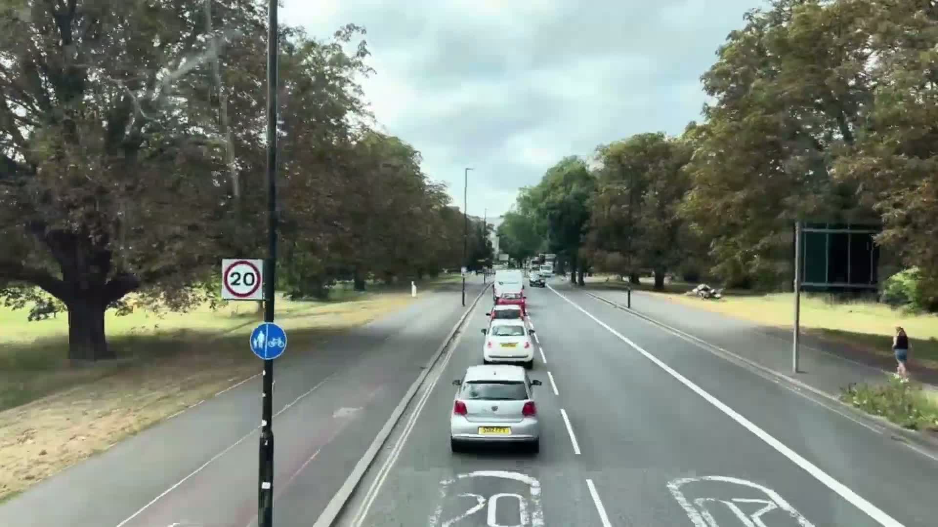 A line of cars drives down a tree-lined road on an overcast day.