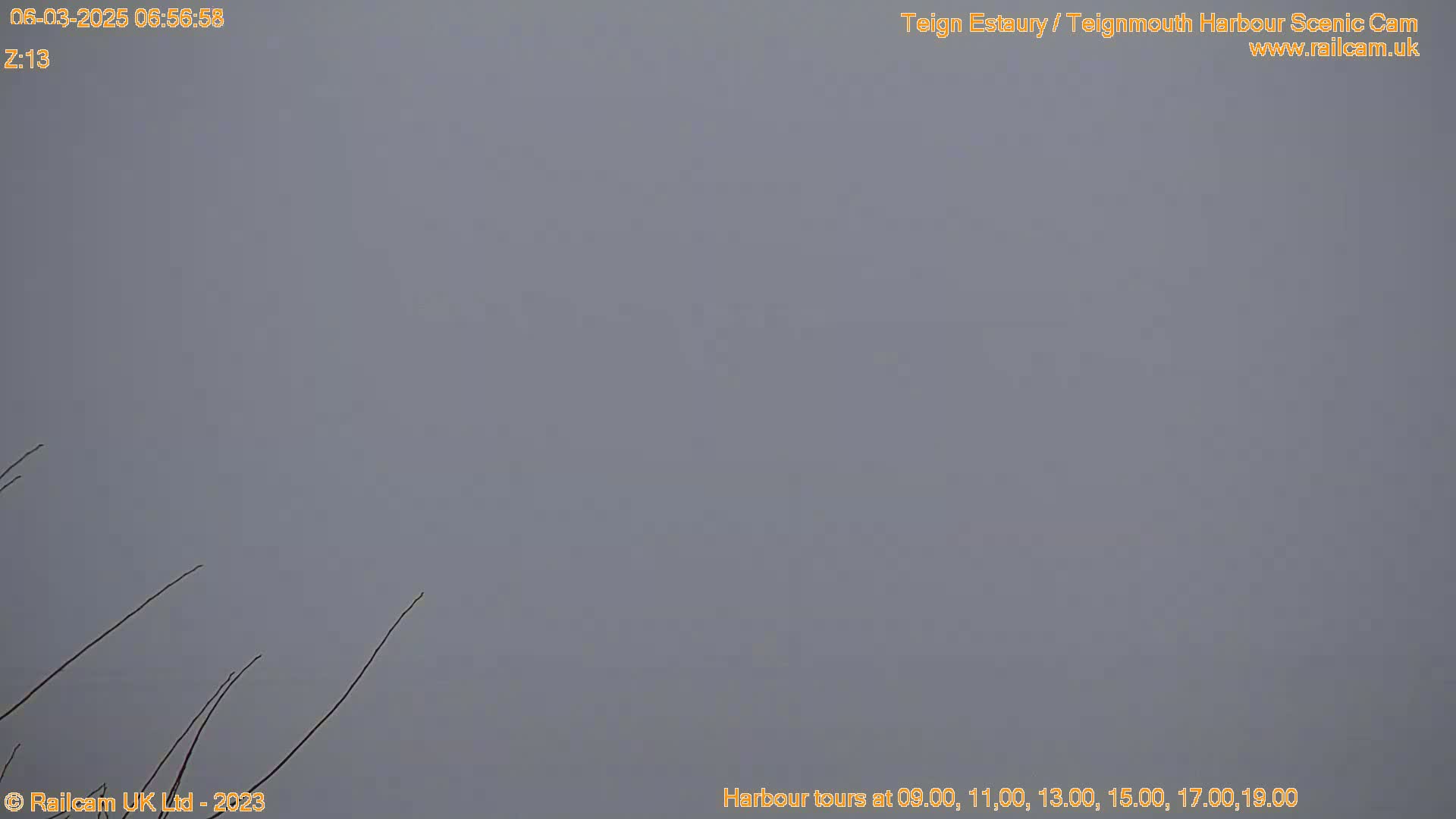 A mostly overcast sky is visible, with a few bare branches in the bottom left corner.