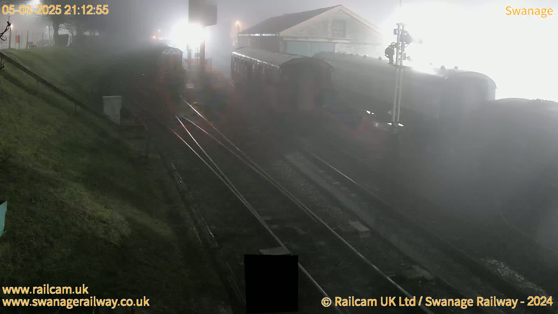 A train sits in a foggy nighttime train yard near a building.