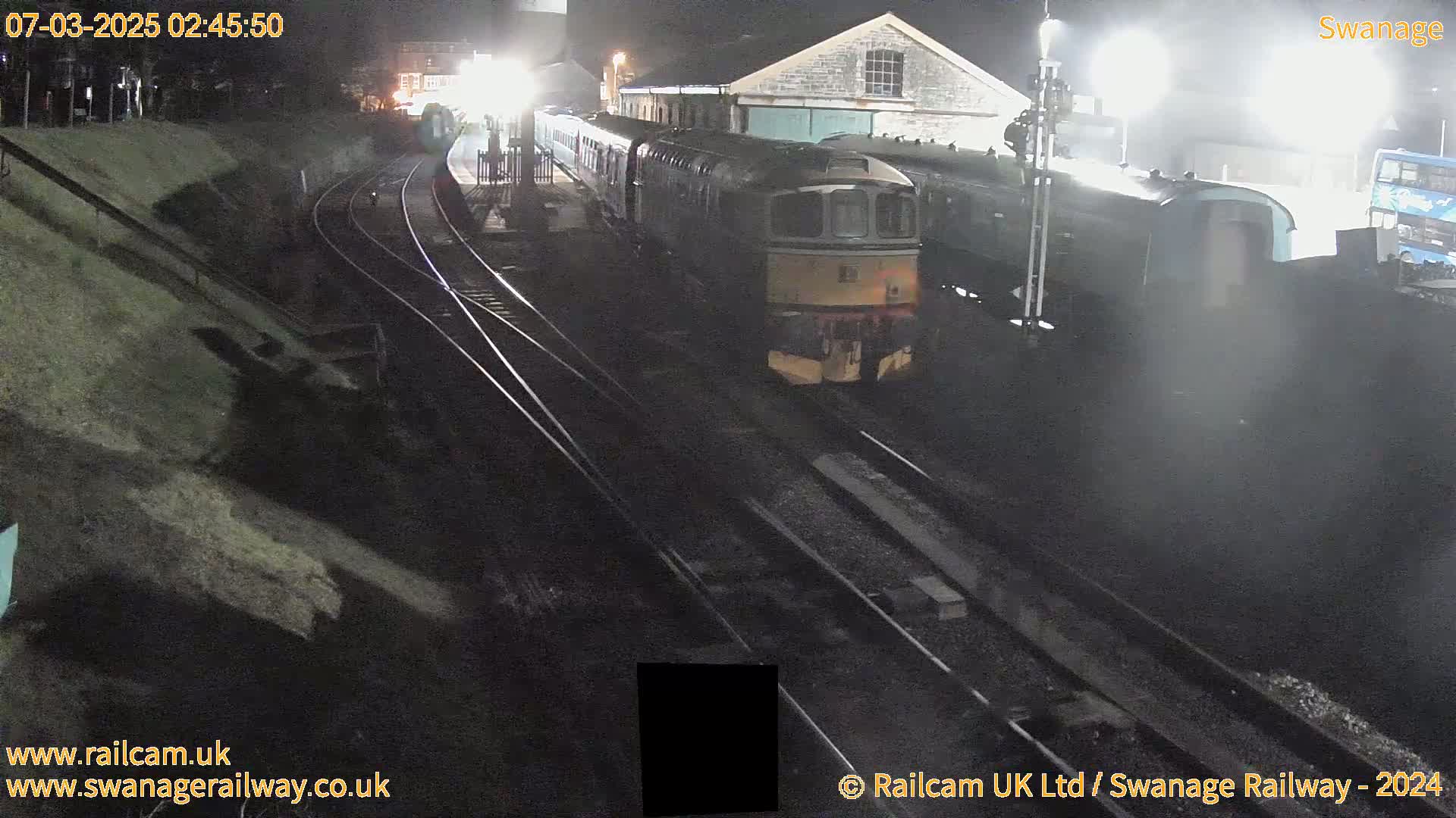 A train sits at a nighttime railway station next to other train cars and a building under artificial light.