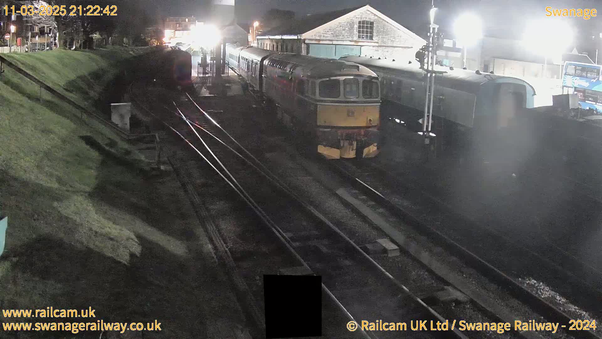 A diesel locomotive and several railway carriages are parked at a station at night.