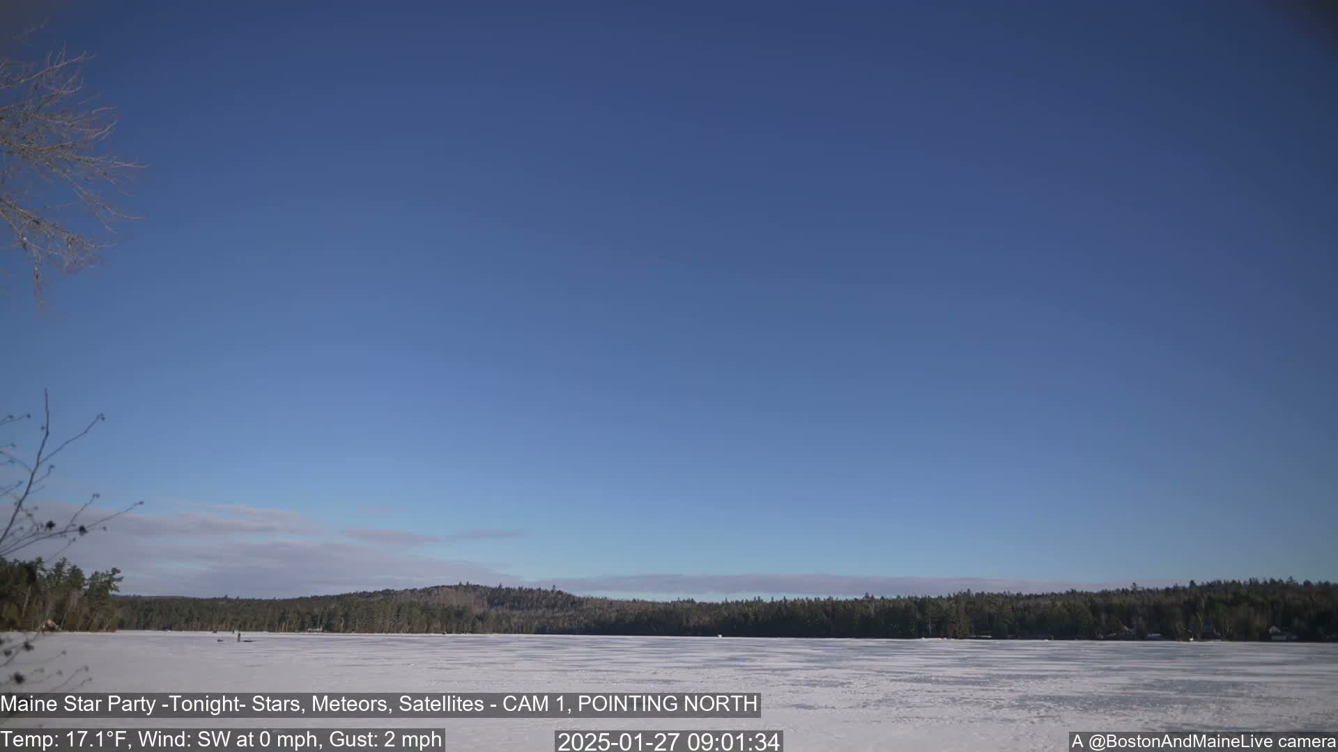 A frozen lake is visible under a clear blue sky, with a dark treeline in the background.