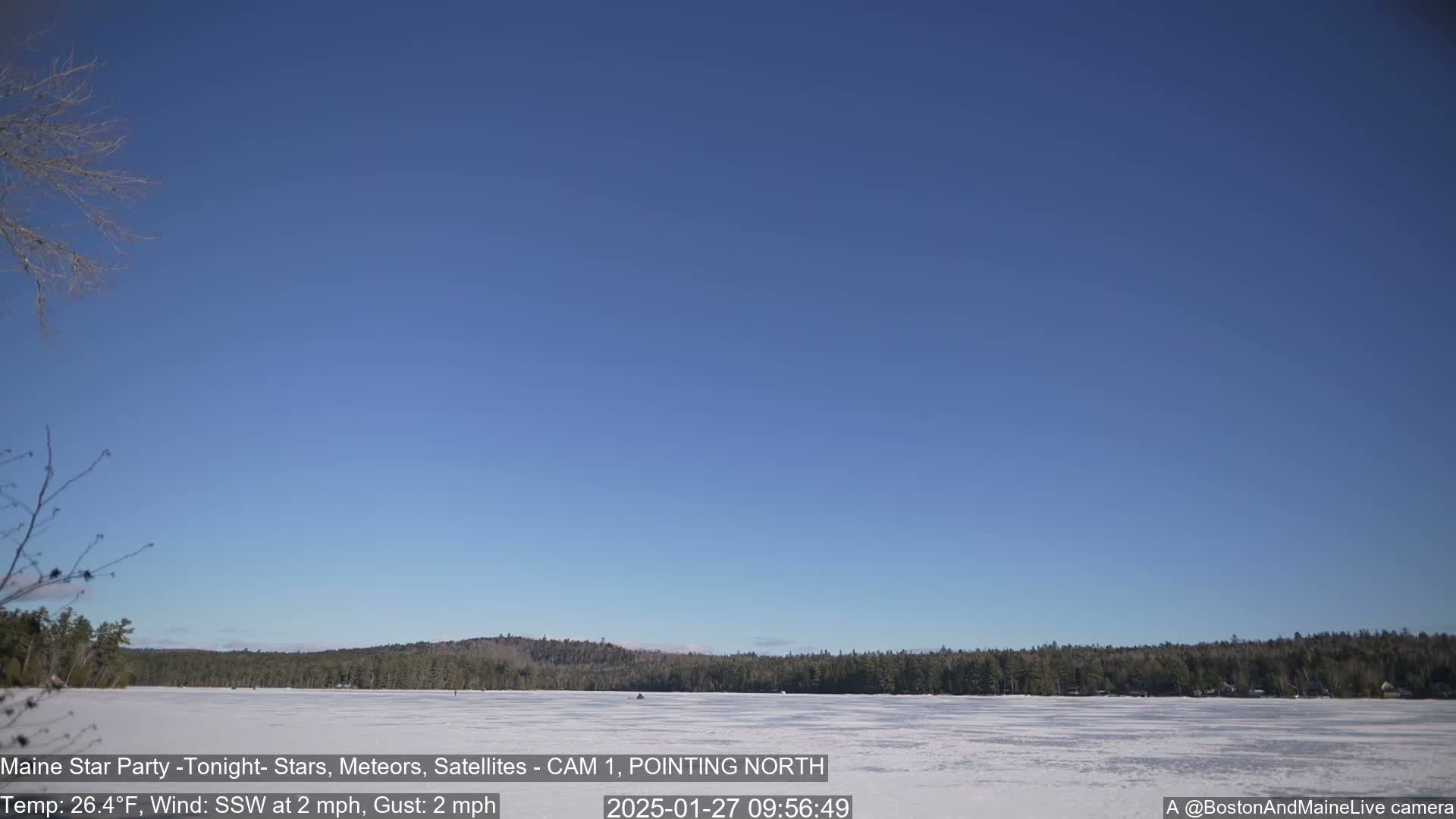 A frozen lake, bordered by a dark evergreen forest under a clear blue sky.