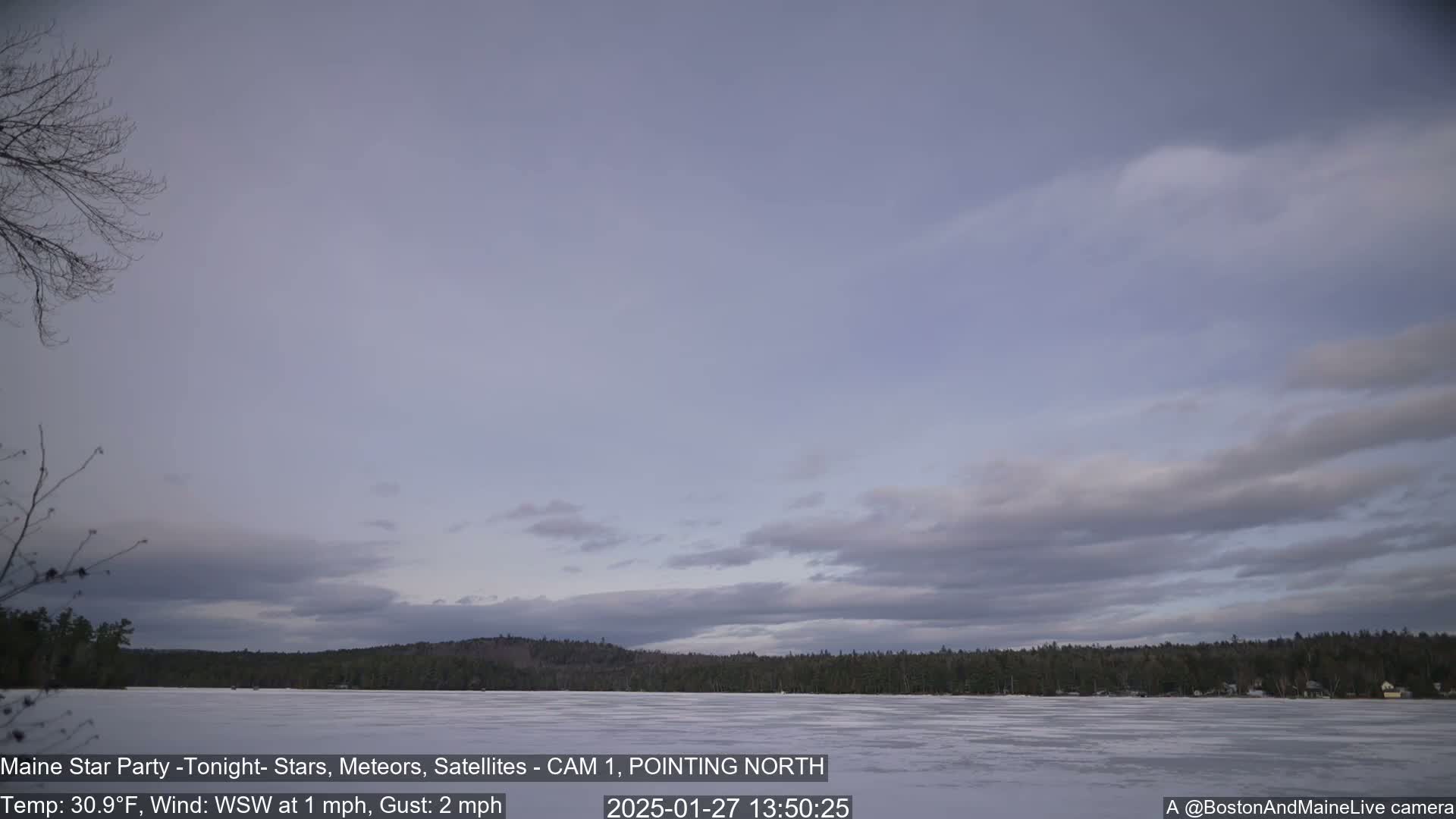 A frozen lake is visible beneath a mostly cloudy, pale sky, with a line of dark trees in the background.
