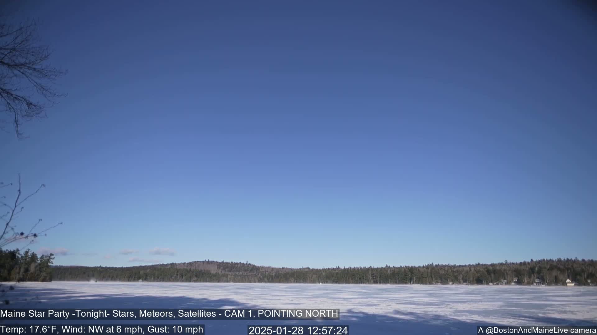 A frozen lake stretches out beneath a clear blue sky, with a dark, tree-lined shore in the background, under a cold, windy daytime.