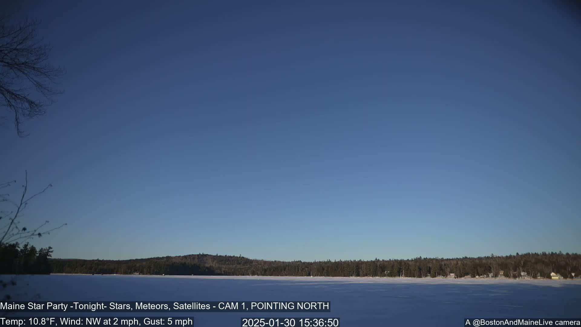 A frozen lake stretches before a snow-covered treeline under a clear blue sky.