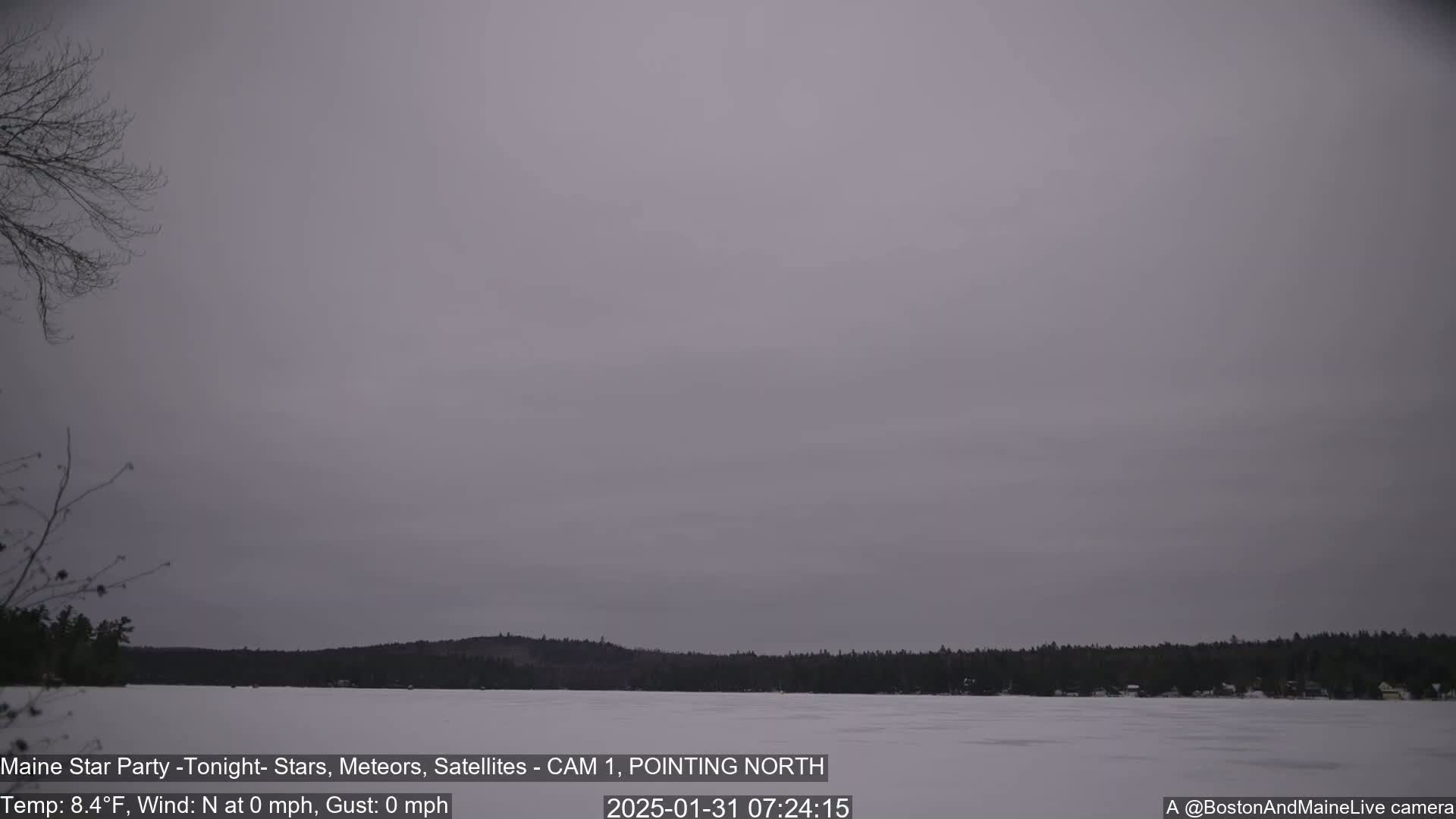 A frozen lake is visible under an overcast sky, with bare trees in the foreground and a dark treeline in the background.