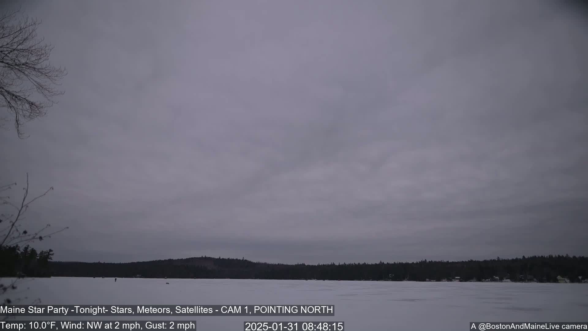 A frozen lake is visible under an overcast sky, with a dark treeline in the background.