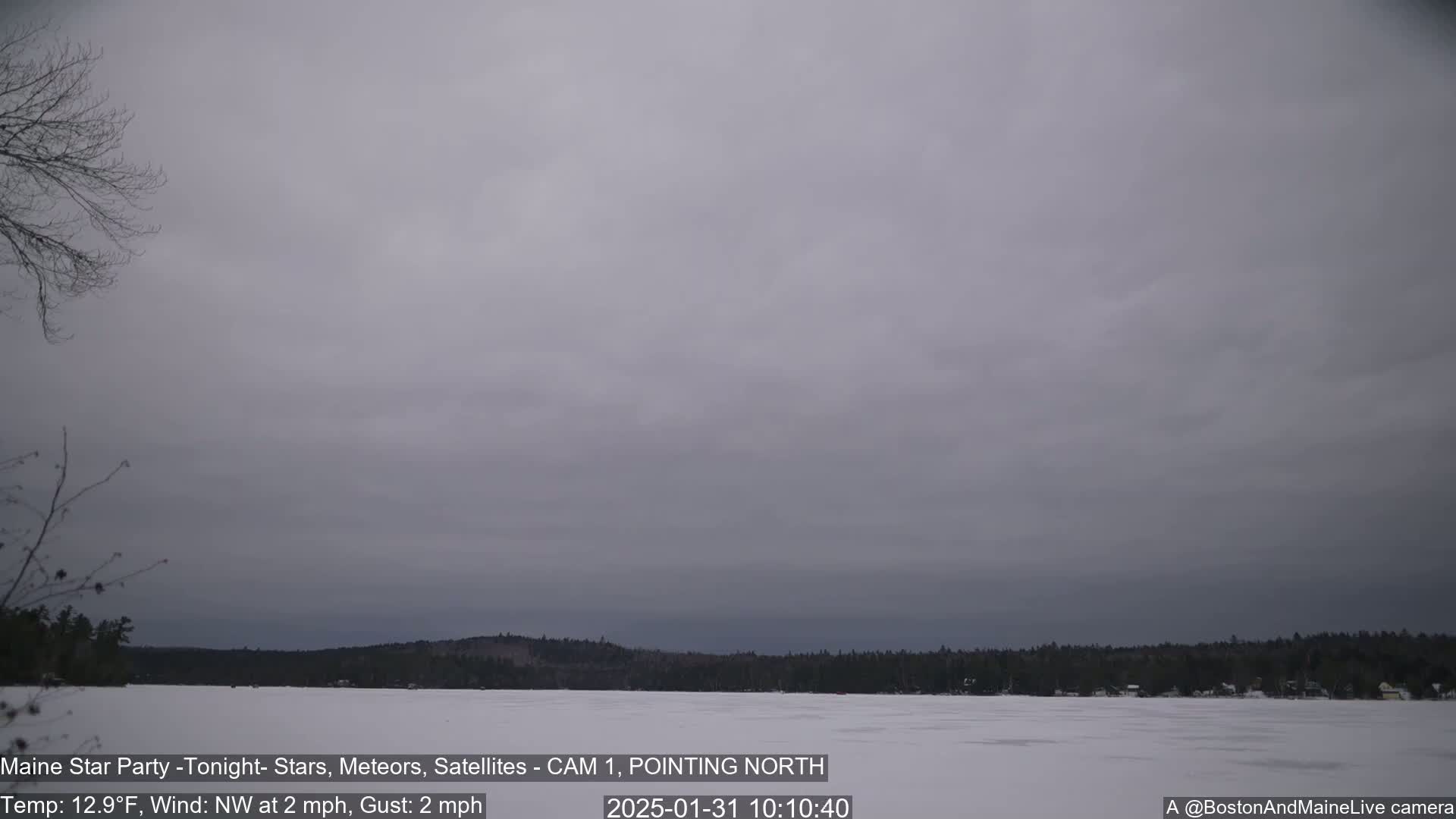 A snow-covered frozen lake is seen under an overcast sky with a few bare trees in the foreground and a dark treeline in the distance.