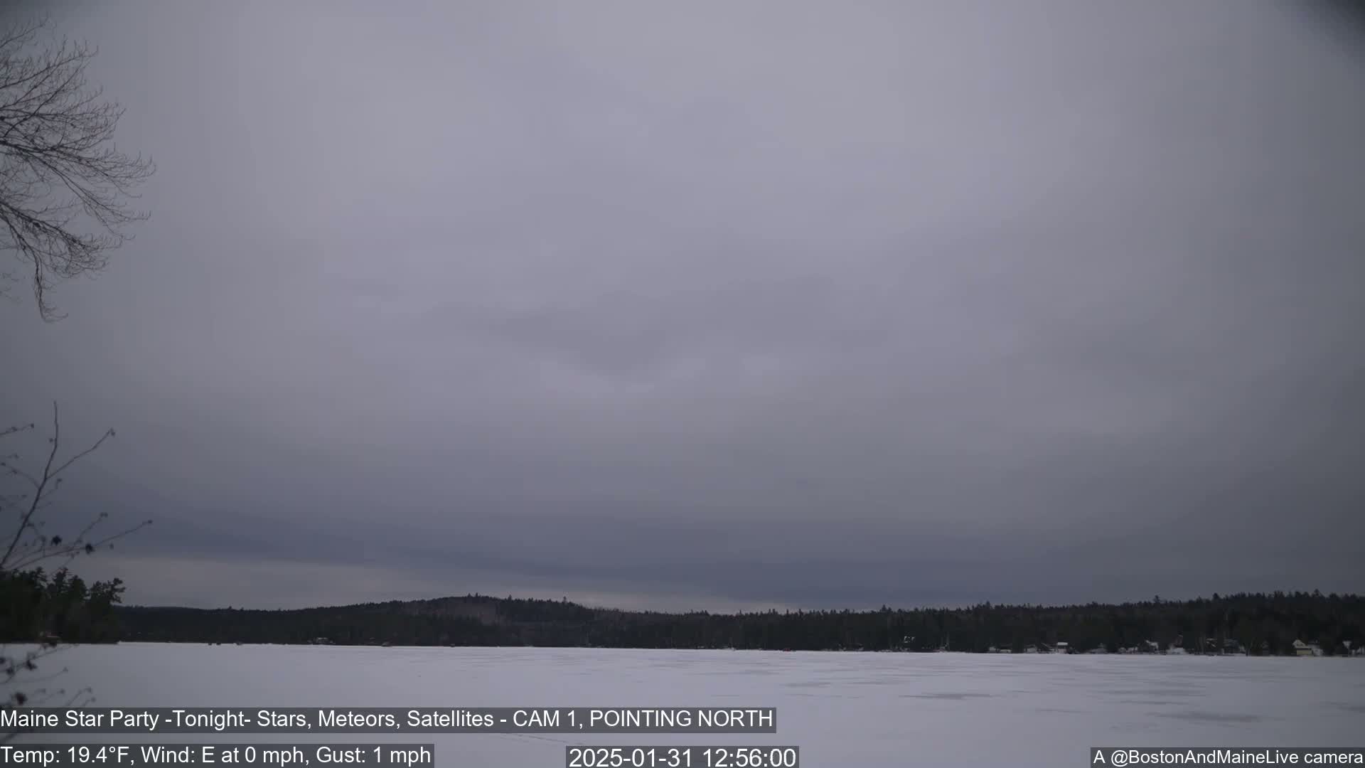 A frozen lake is visible beneath an overcast sky, with a dark treeline in the background.