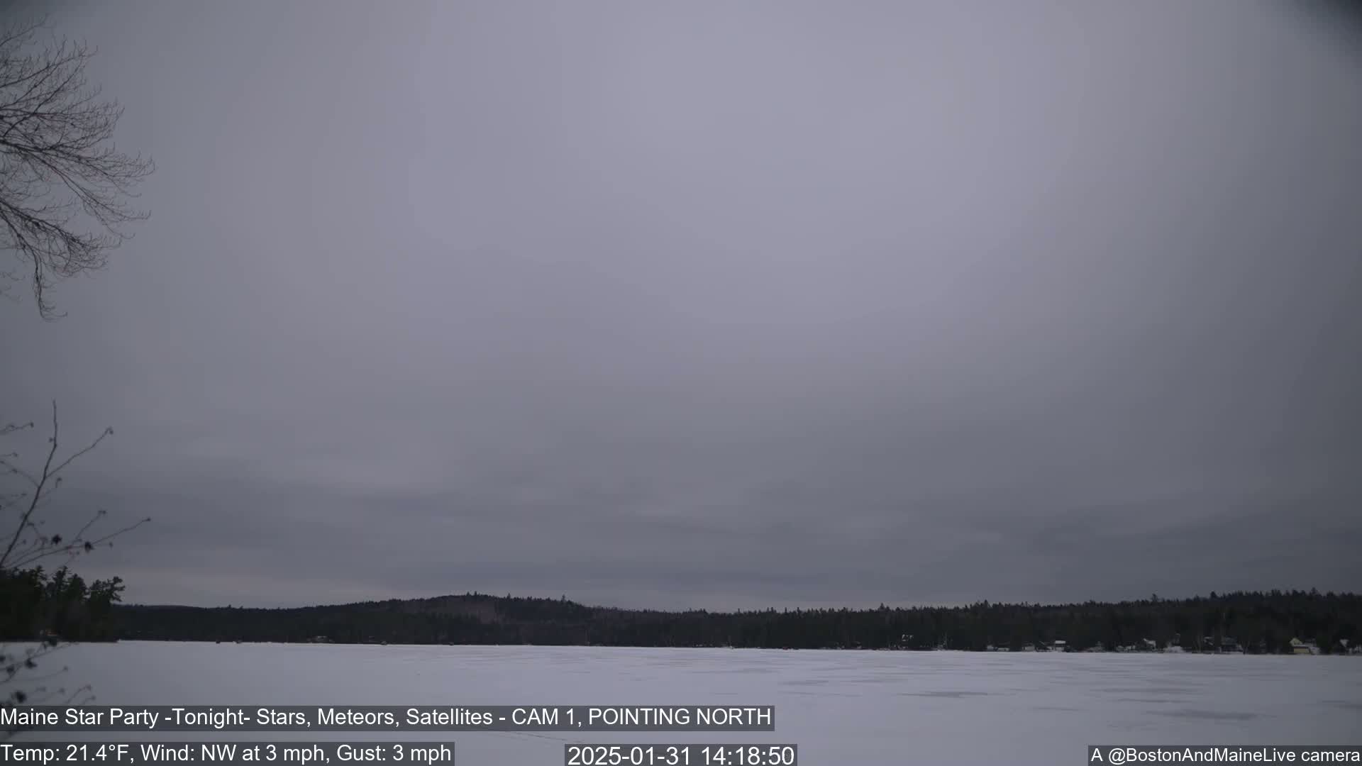 A frozen lake under a cloudy, gray sky is surrounded by a snow-covered shoreline and dark trees.