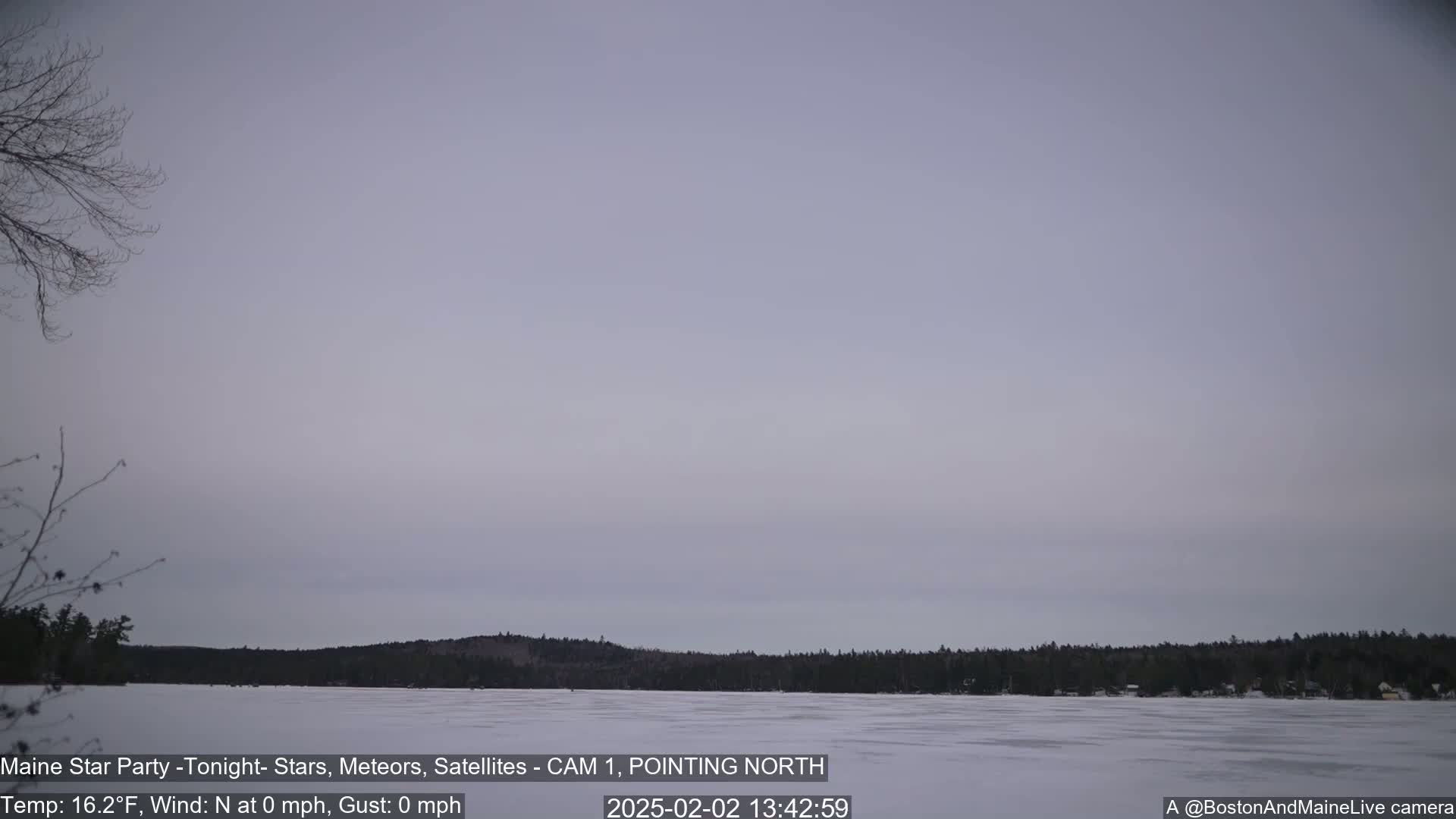 A frozen lake stretches to a treeline under a calm, light gray sky.