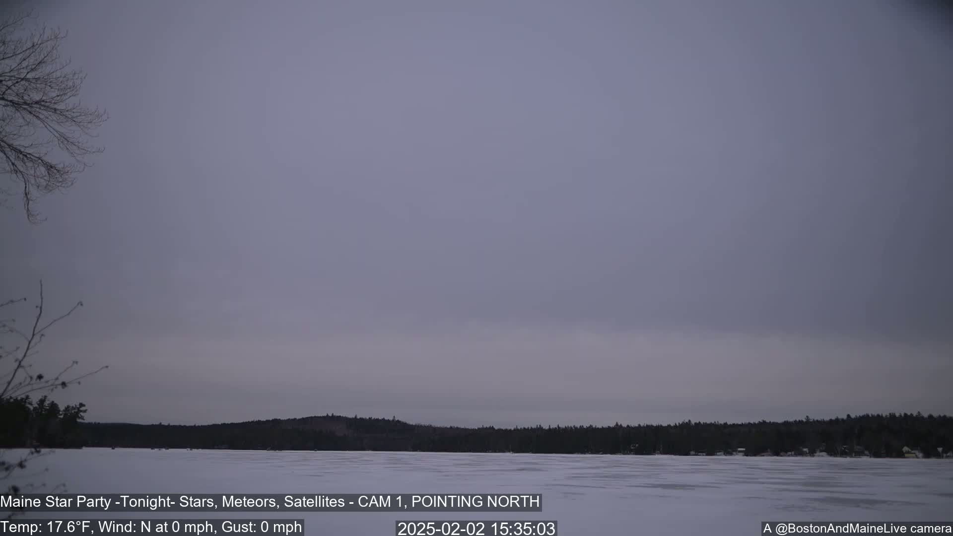 A frozen lake is visible, with a treeline in the background under a calm, overcast sky.