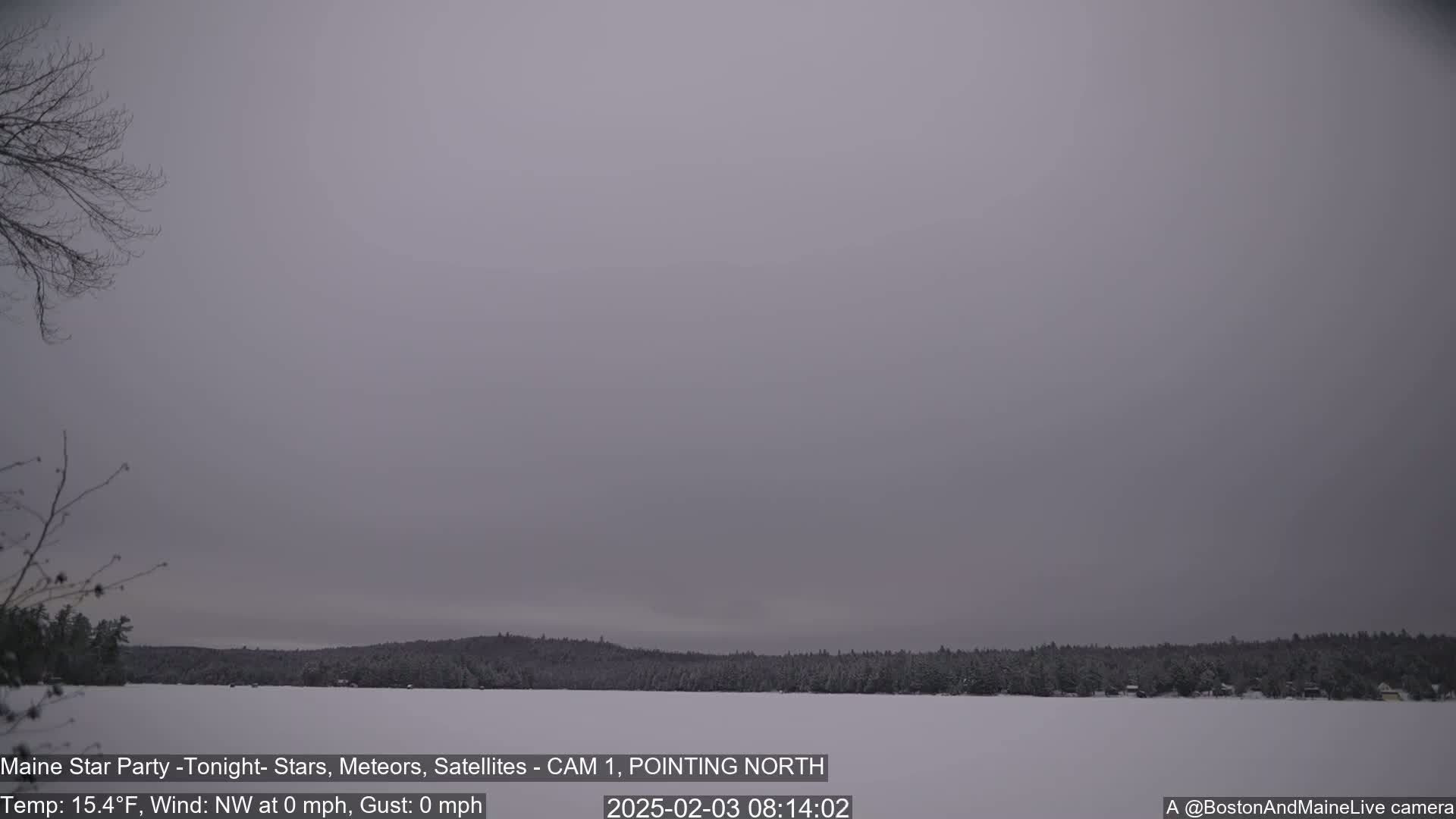 A snow-covered lake is visible beneath a gray, overcast sky, with bare trees in the foreground and a snow-covered forest in the background.