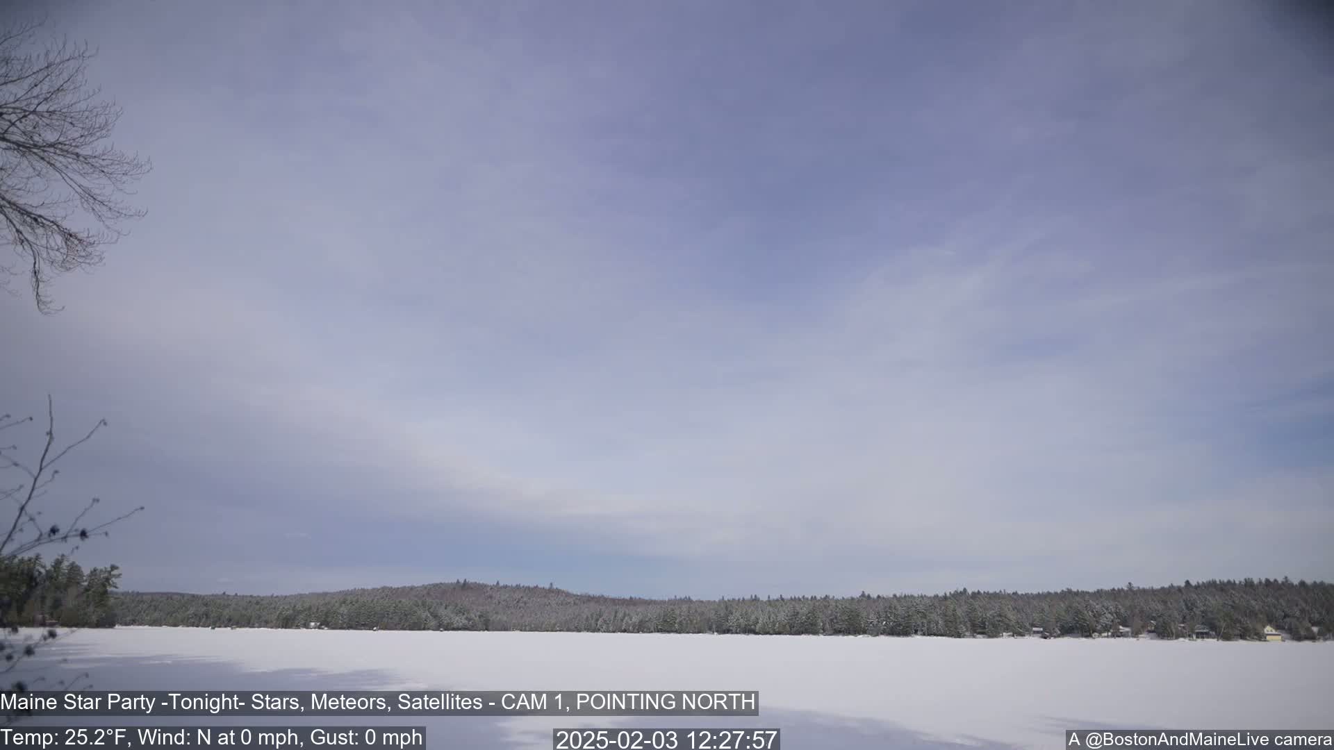A snow-covered frozen lake is surrounded by a snow-dusted forest under a pale, cloudy sky.