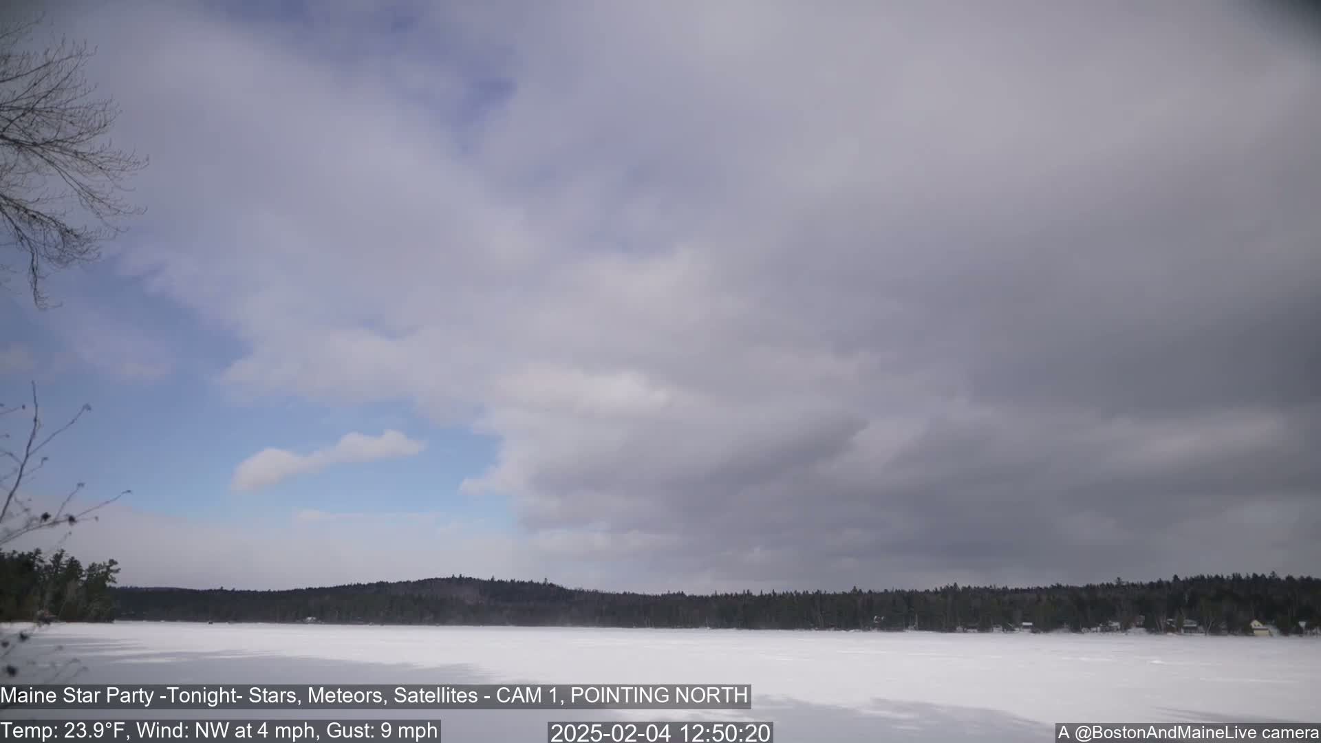 A frozen lake is visible under an overcast sky, with a dark line of trees on the far shore.