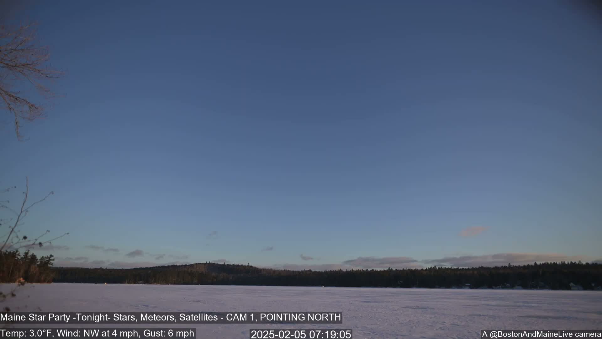 A frozen lake is visible under a clear, twilight sky, with a dark forest line in the background, and a few bare trees in the foreground.