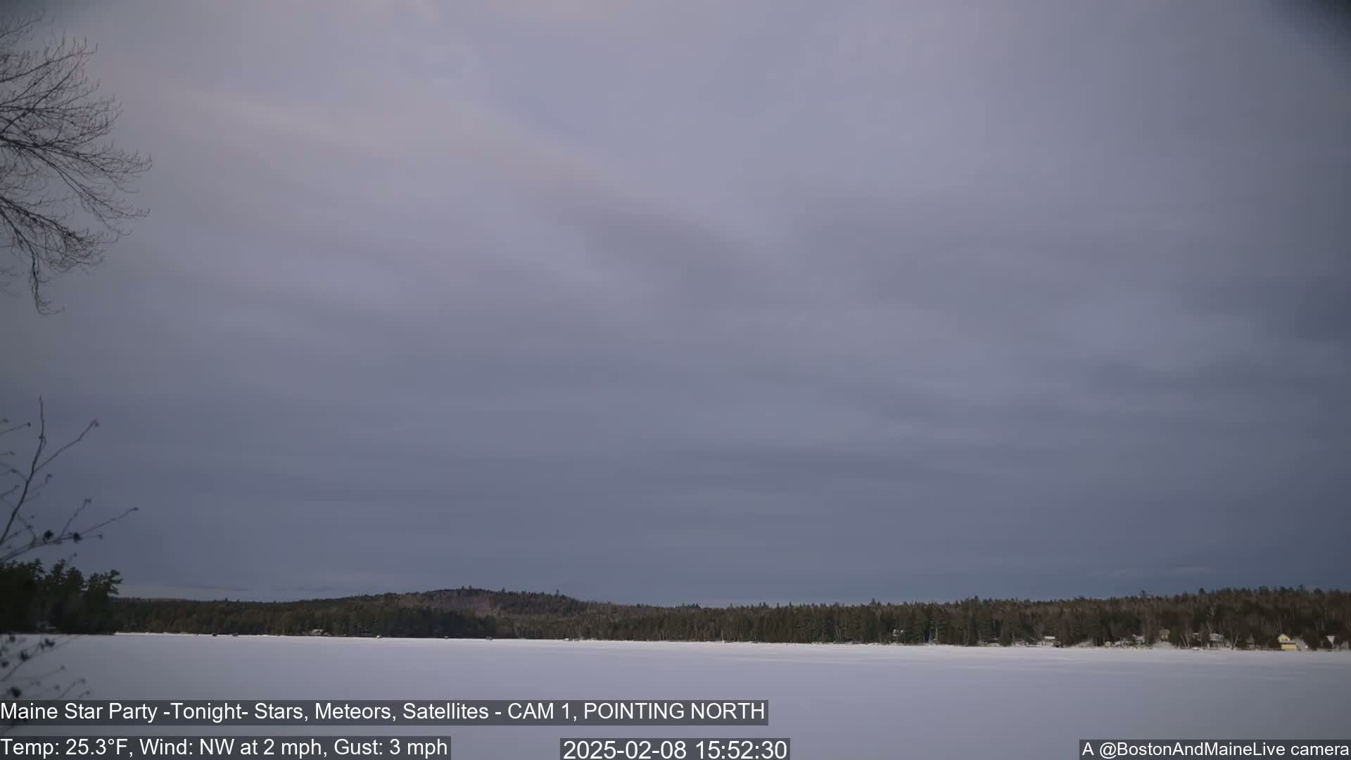 A snow-covered lake is visible, with a dark tree line on the far side under a mostly cloudy, pale gray sky.