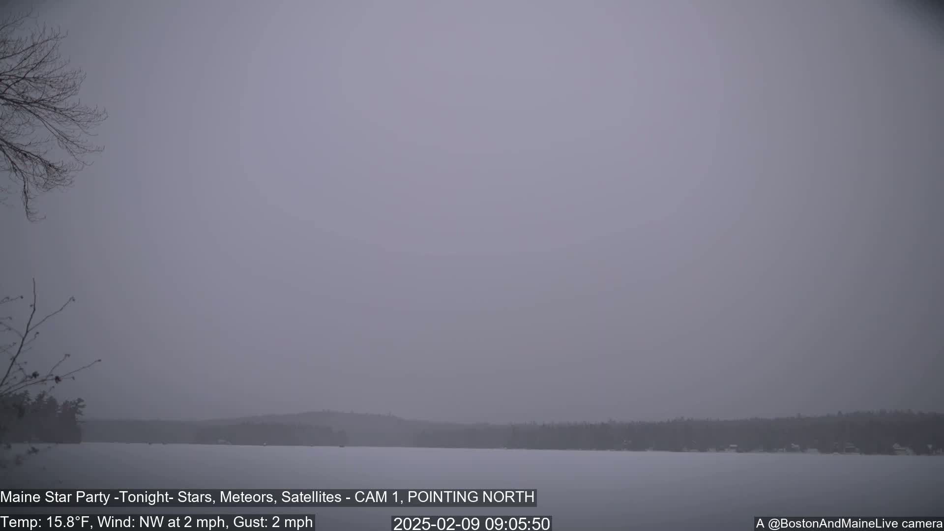 A snow-covered lake and distant trees are visible under a hazy, overcast sky.