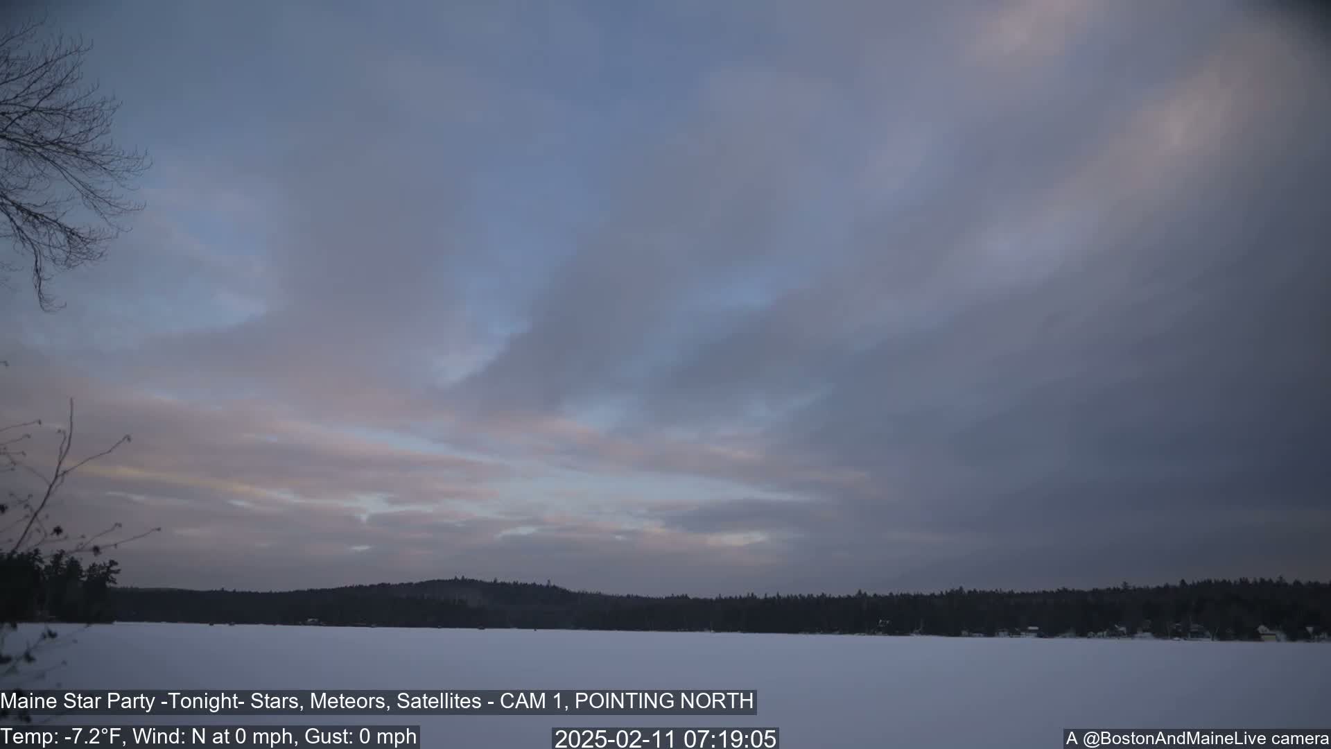 A snow-covered frozen lake stretches out before a line of dark trees under a pale, mostly cloudy sky.