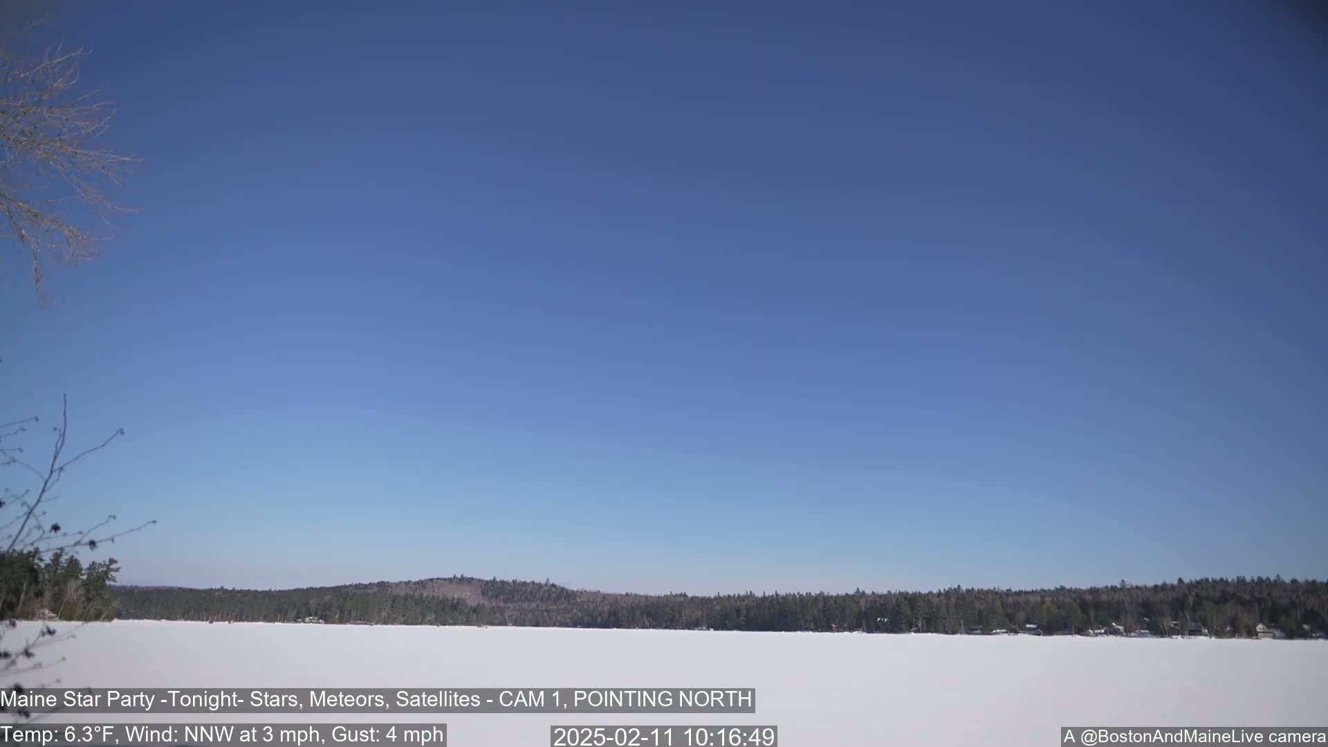 A frozen lake is visible under a clear blue sky, with a snow-covered shoreline and a treeline in the background.