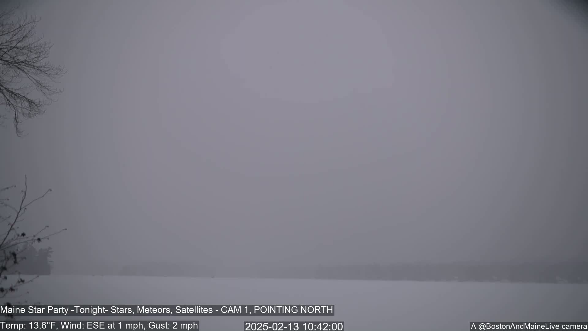 A snow-covered landscape is shrouded in a dense fog under a gray sky.